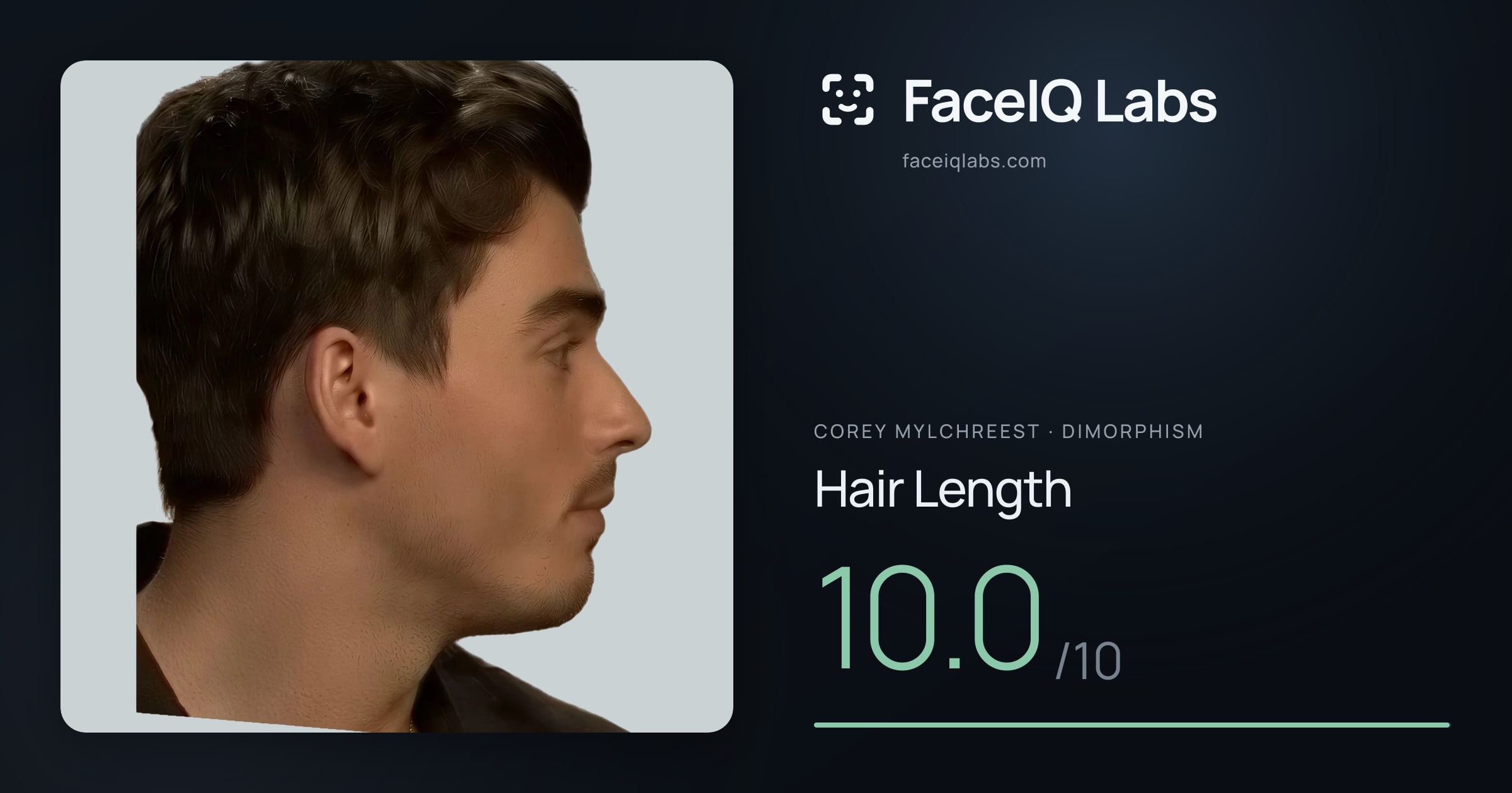 Corey Mylchreest Hair Length: 10.0/10, drawn on the photo