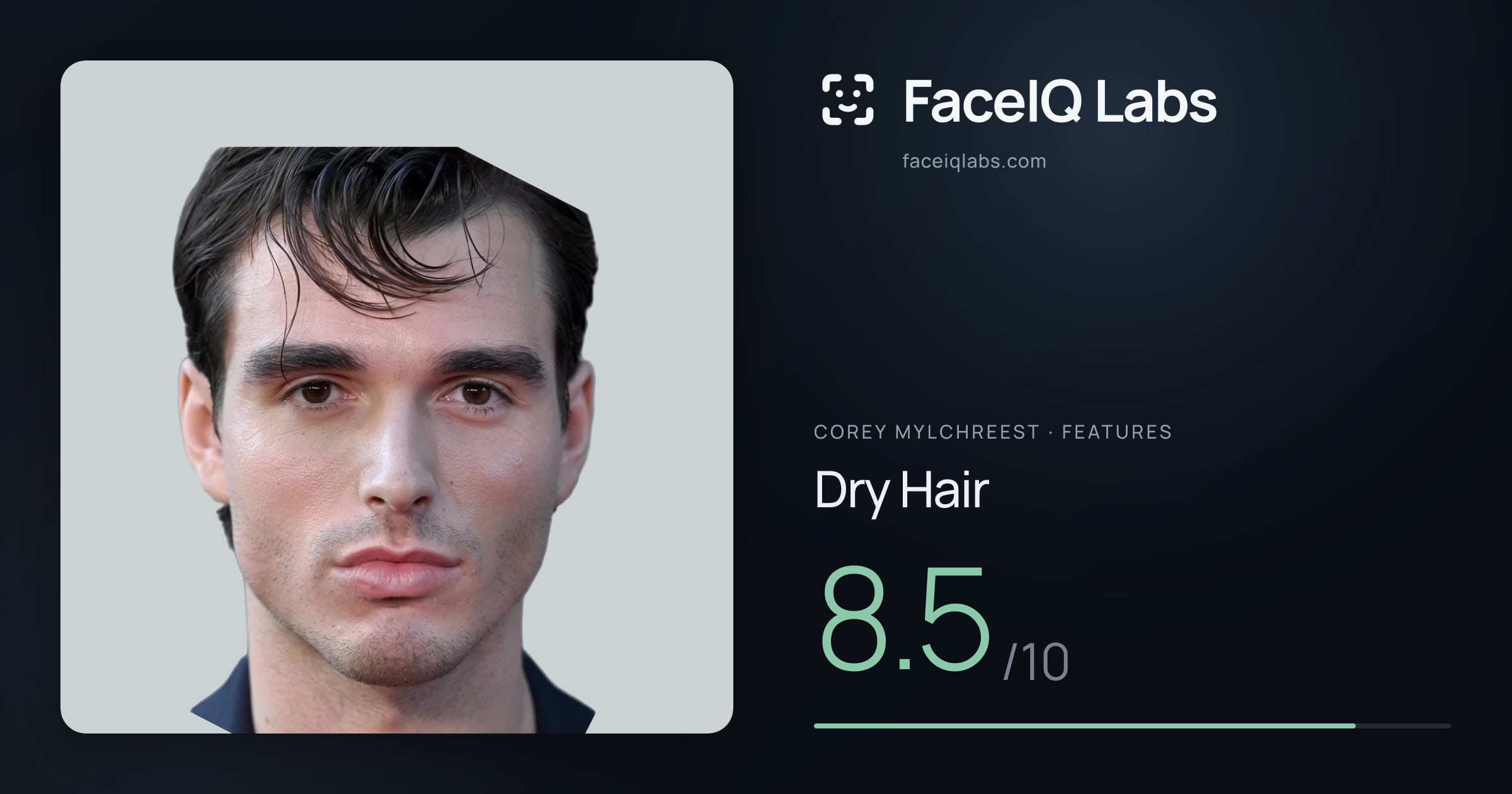 Corey Mylchreest Dry Hair: 8.5/10, drawn on the photo