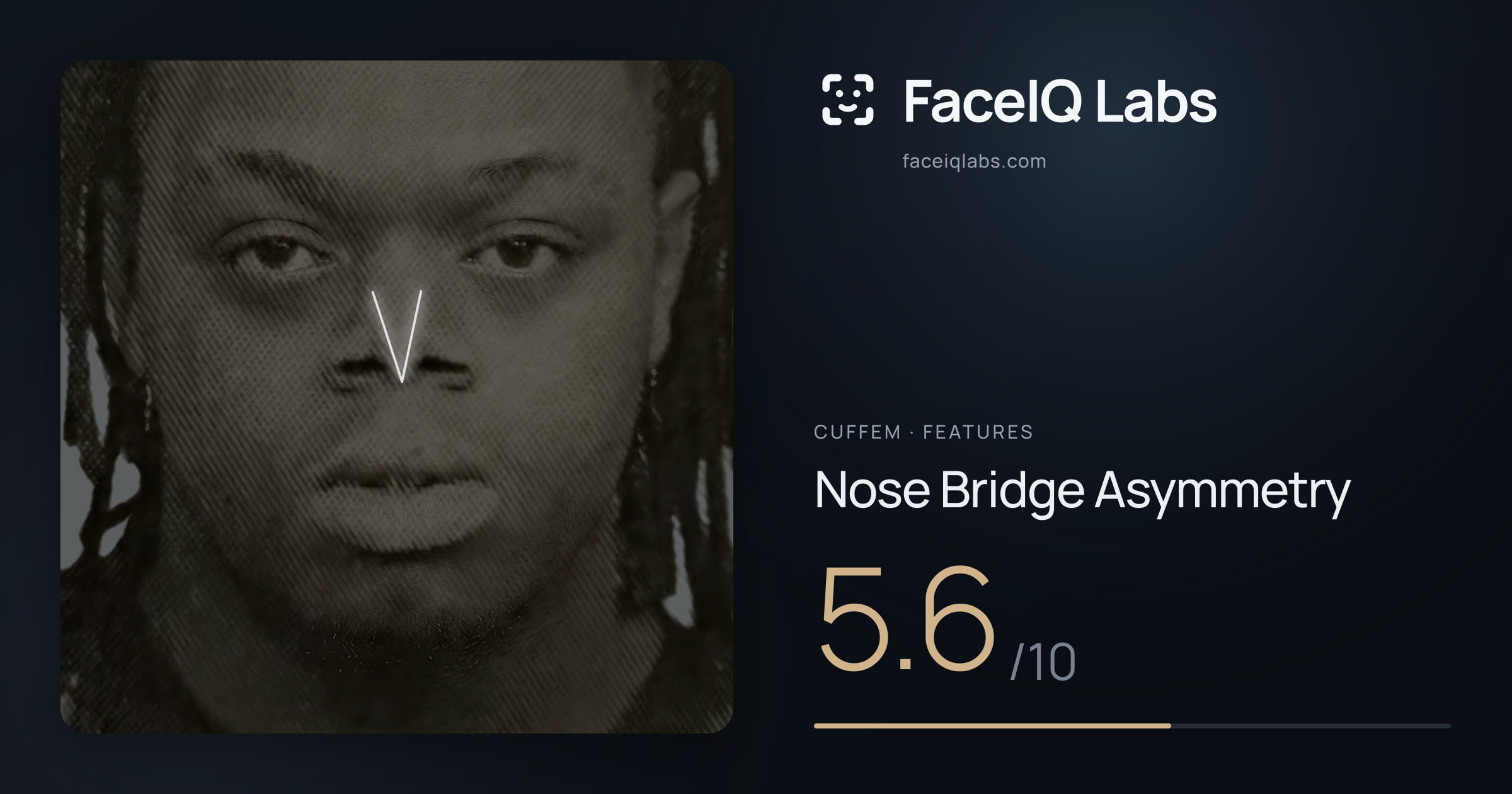 Cuffem Nose Bridge Asymmetry: 5.6/10, drawn on the photo
