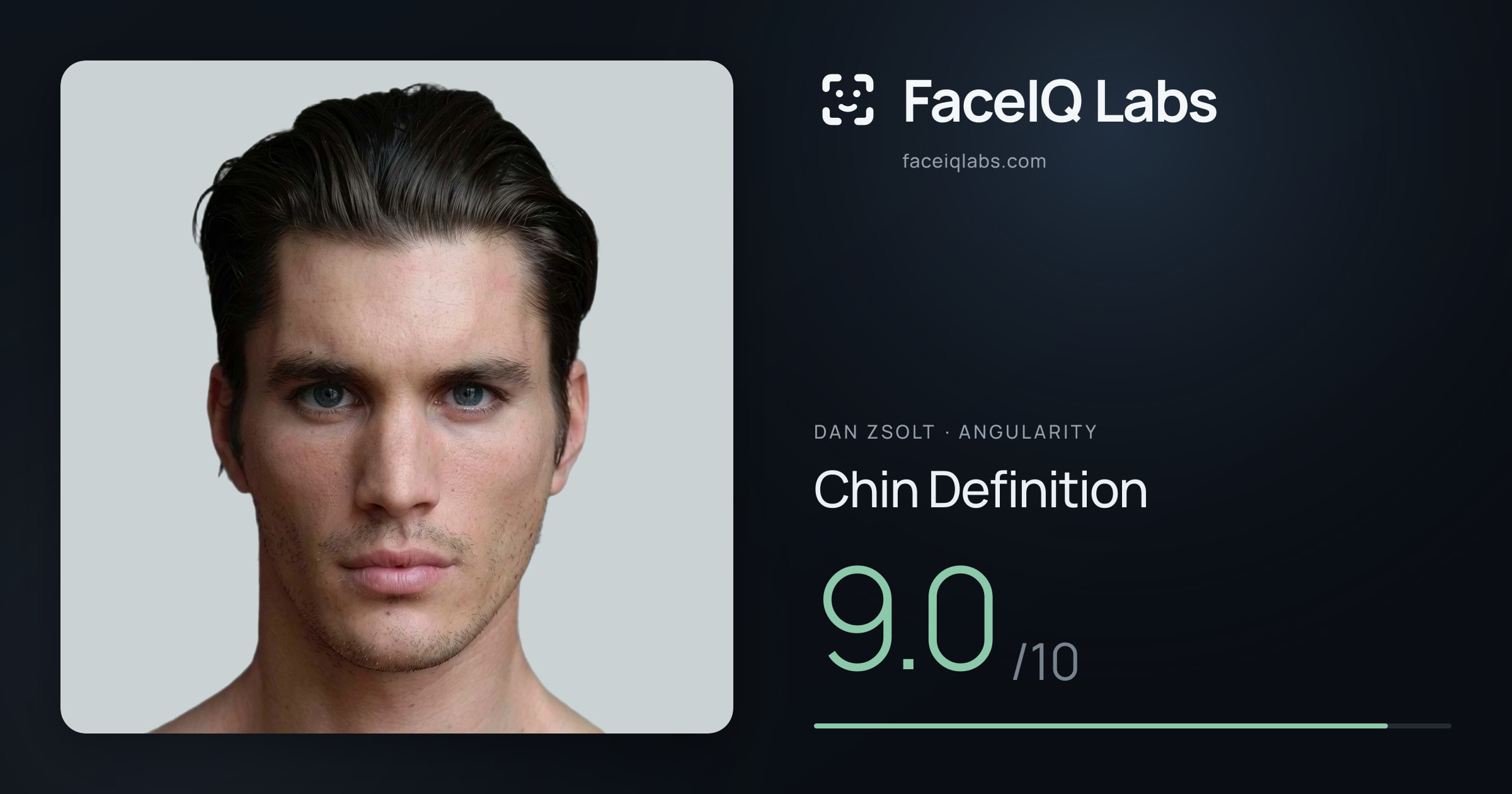 Dan Zsolt Chin Definition: 9.0/10, drawn on the photo