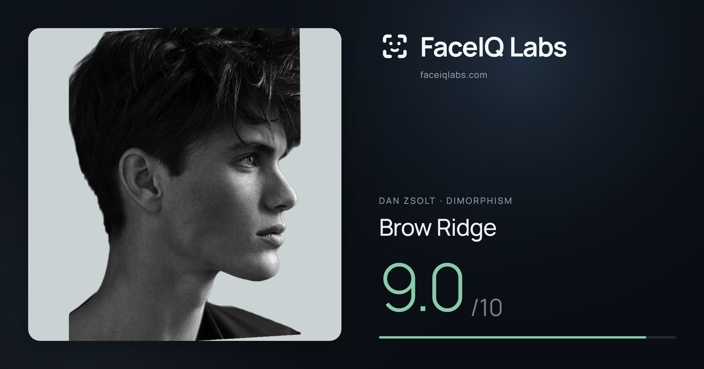 Dan Zsolt Brow Ridge: 9.0/10, drawn on the photo