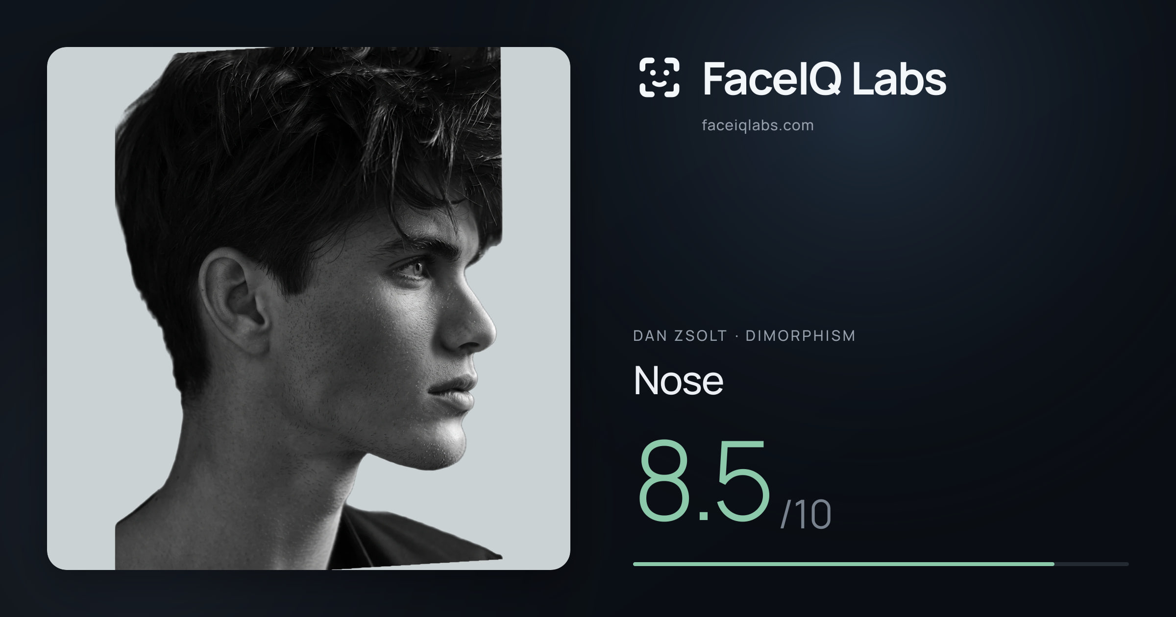 Dan Zsolt Nose: 8.5/10, drawn on the photo