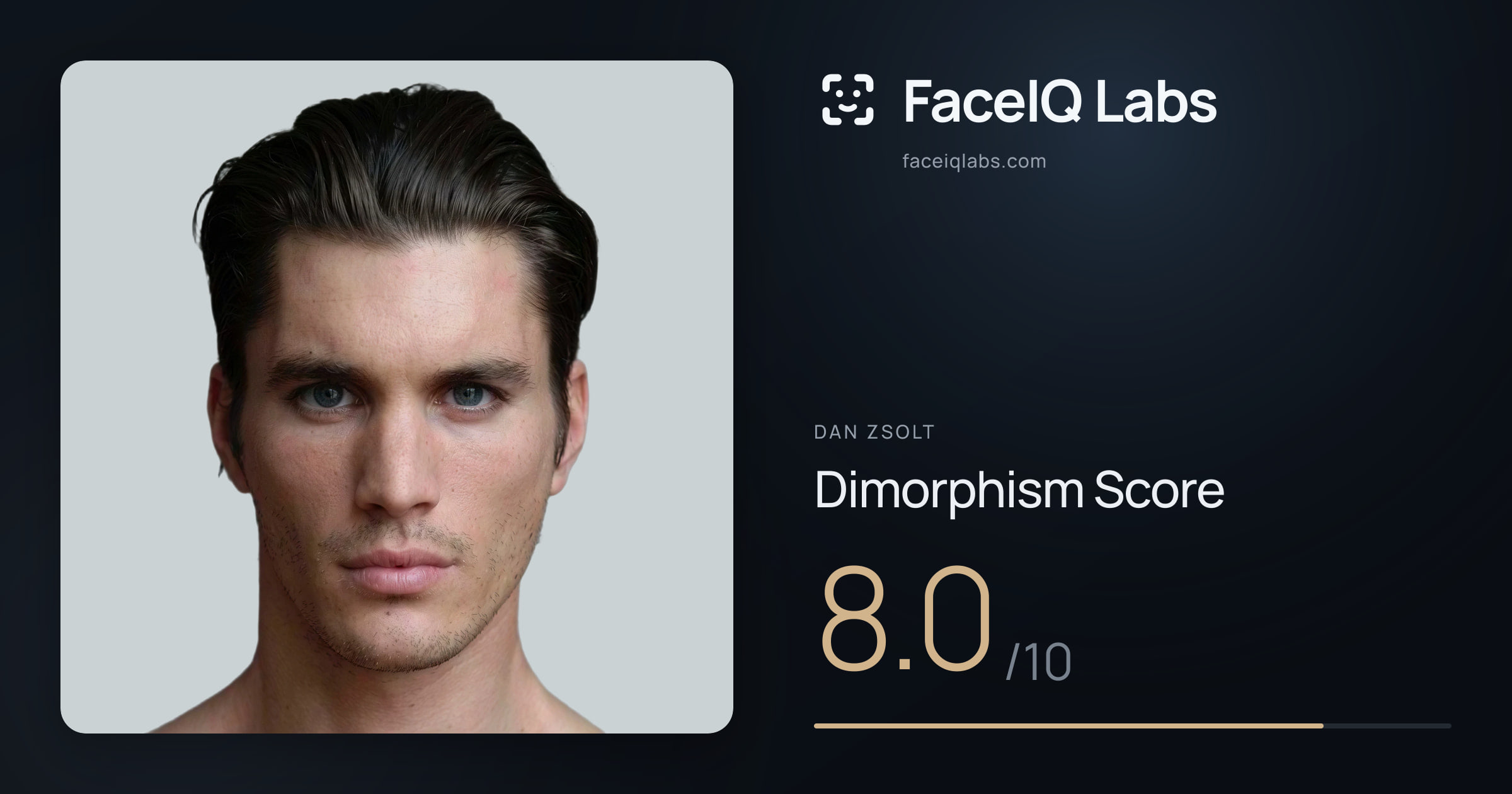 Dan Zsolt Dimorphism: 8.0/10, with each assessment drawn on the photo