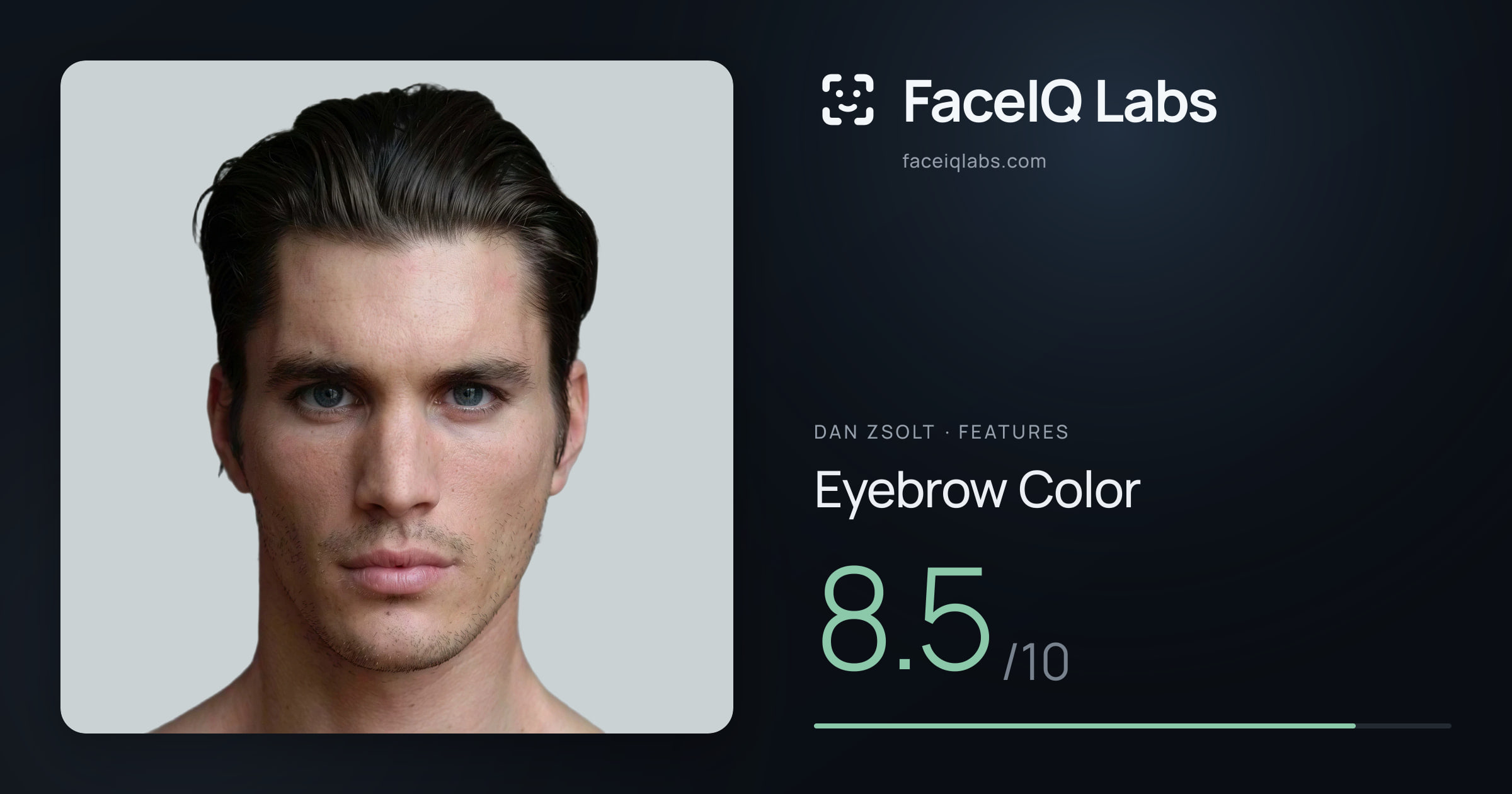 Dan Zsolt Eyebrow Color: 8.5/10, drawn on the photo