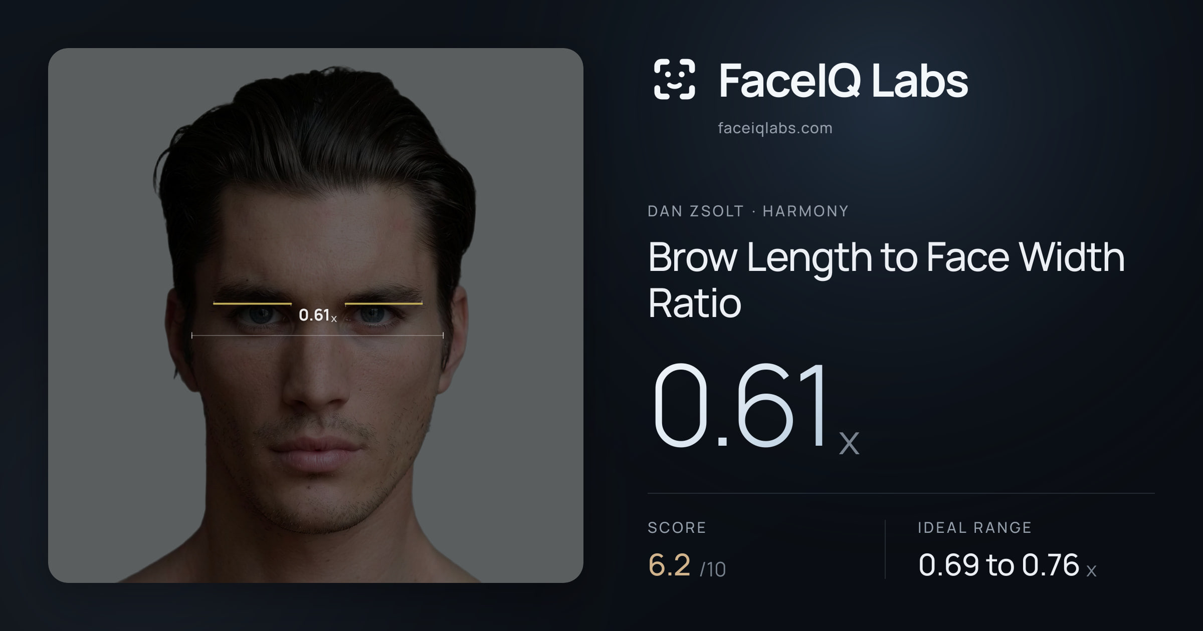 Dan Zsolt Brow Length to Face Width Ratio: 0.61x, drawn on the photo