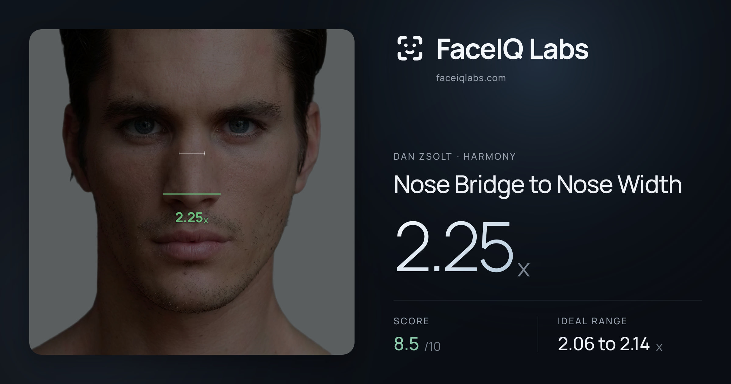 Dan Zsolt Nose Bridge to Nose Width: 2.25x, drawn on the photo