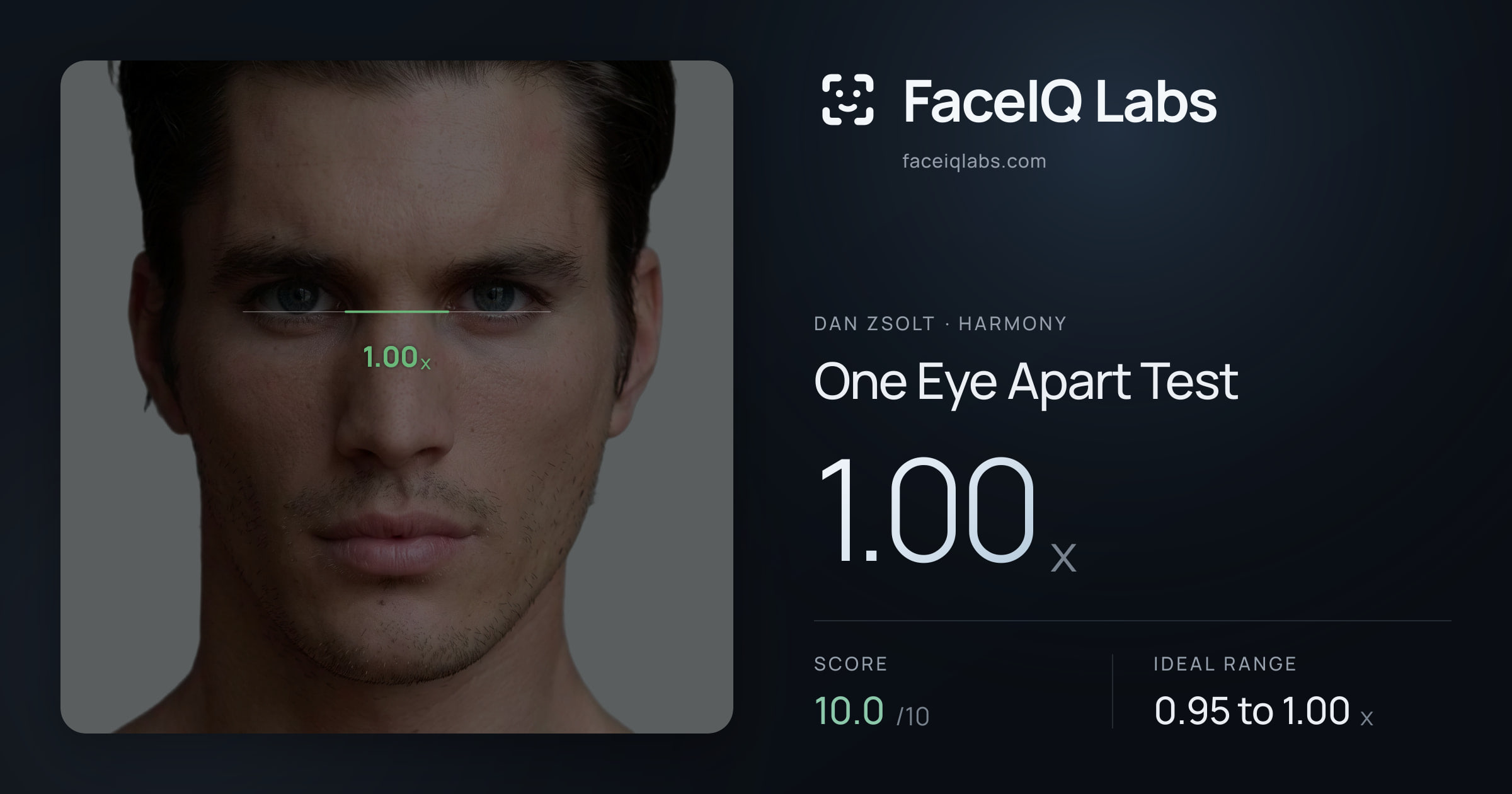 Dan Zsolt One Eye Apart Test: 1.00x, drawn on the photo