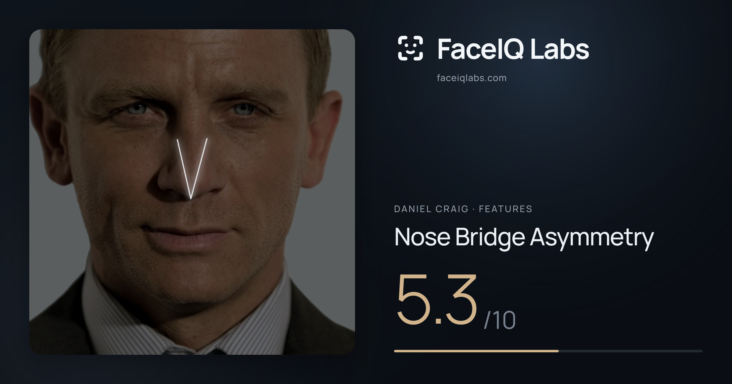 Daniel Craig Nose Bridge Asymmetry: 5.3/10, drawn on the photo