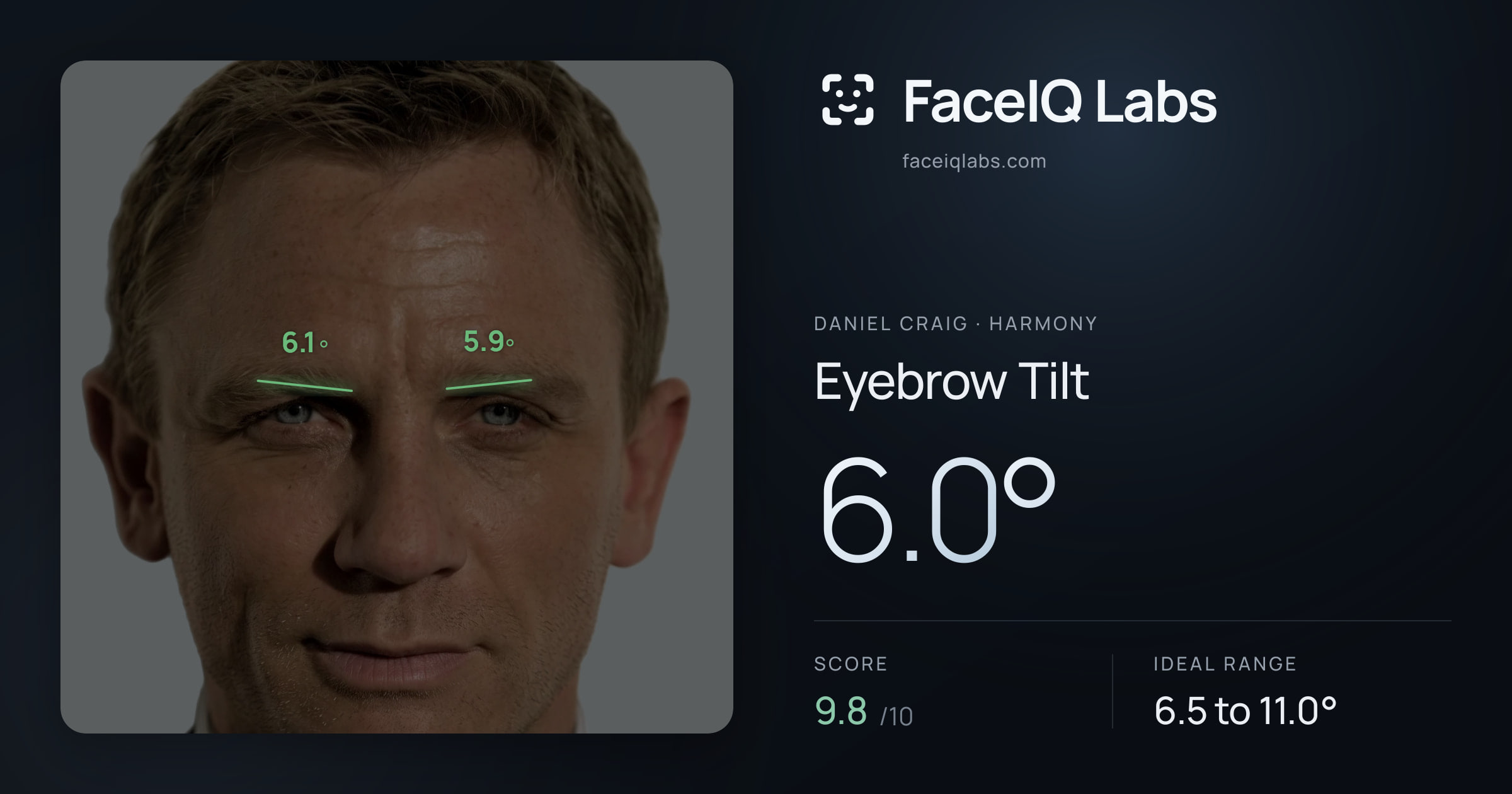 Daniel Craig Eyebrow Tilt: 6.0°, drawn on the photo