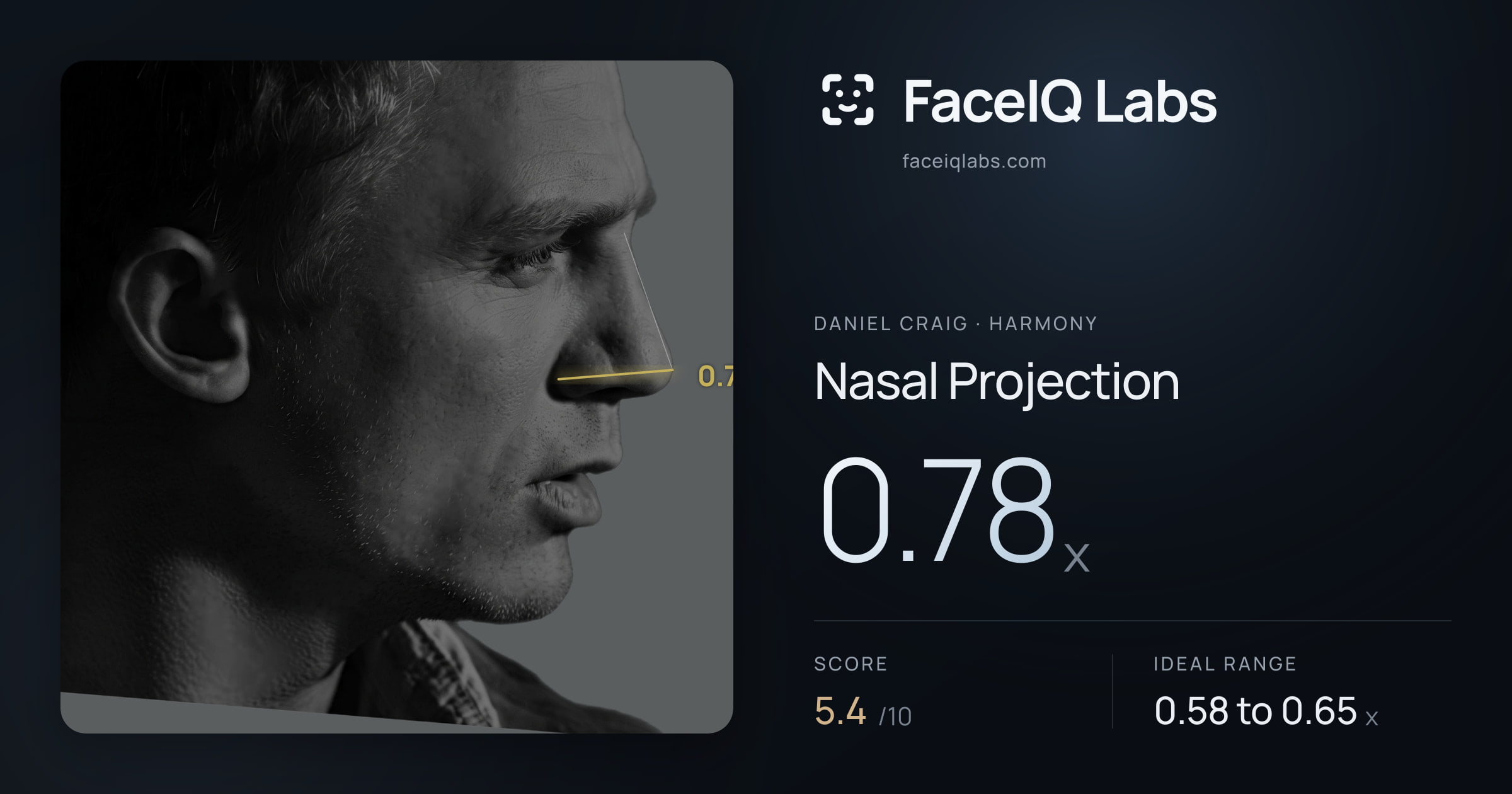 Daniel Craig Nasal Projection: 0.78x, drawn on the photo
