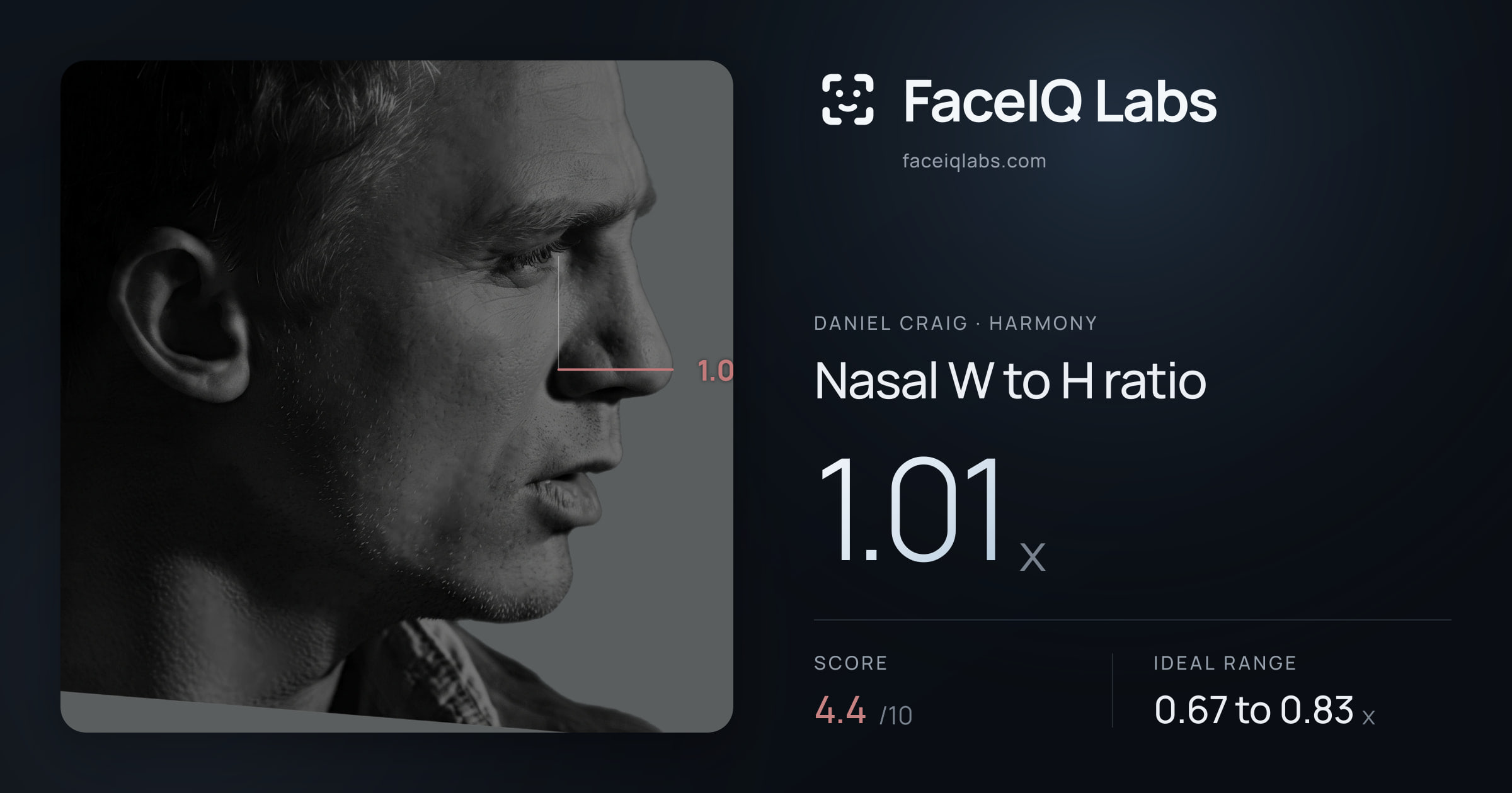 Daniel Craig Nasal W to H ratio: 1.01x, drawn on the photo