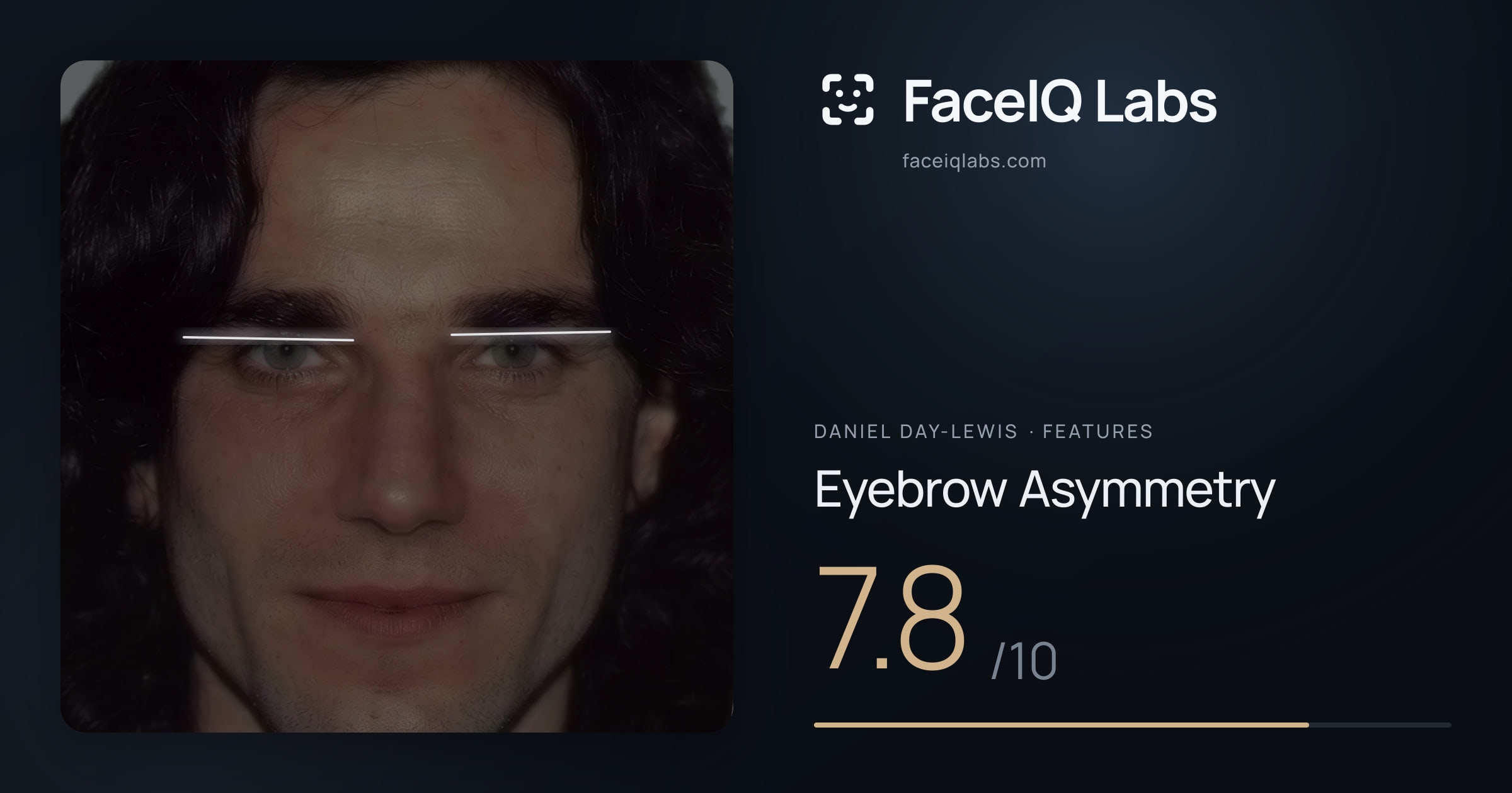 Daniel Day-Lewis Eyebrow Asymmetry: 7.8/10, drawn on the photo