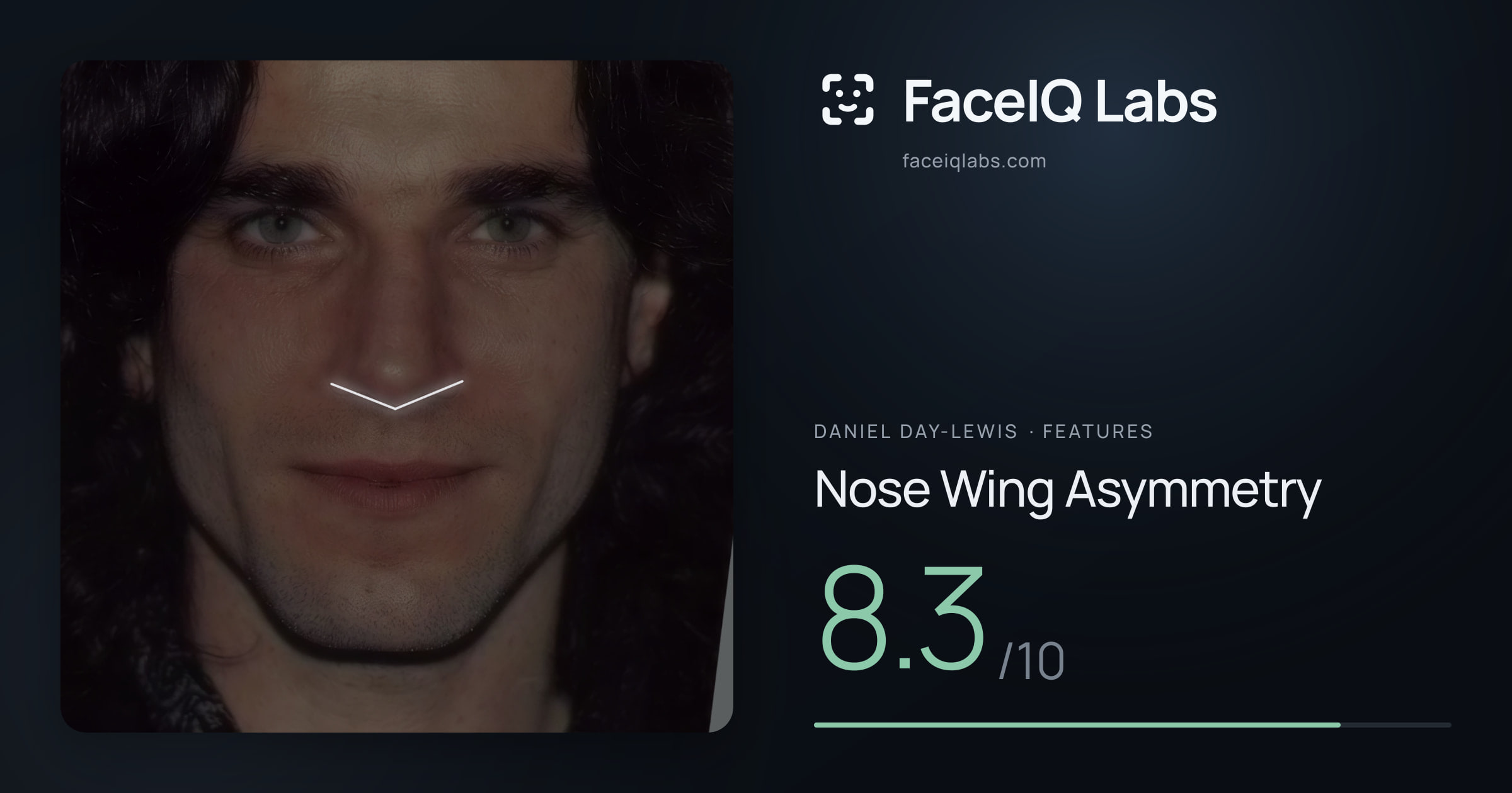 Daniel Day-Lewis Nose Wing Asymmetry: 8.3/10, drawn on the photo