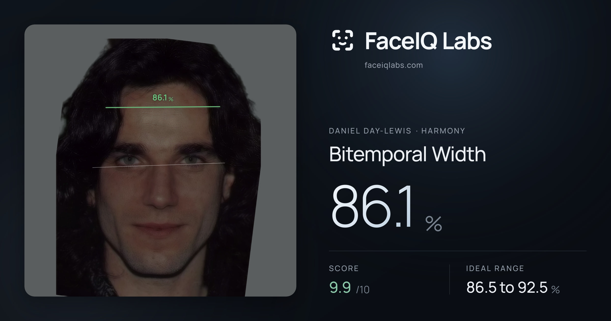 Daniel Day-Lewis Bitemporal Width: 86.1%, drawn on the photo
