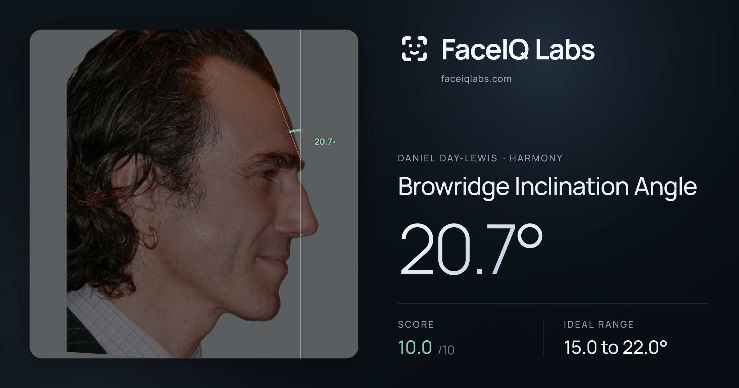 Daniel Day-Lewis Browridge Inclination Angle: 20.7°, drawn on the photo