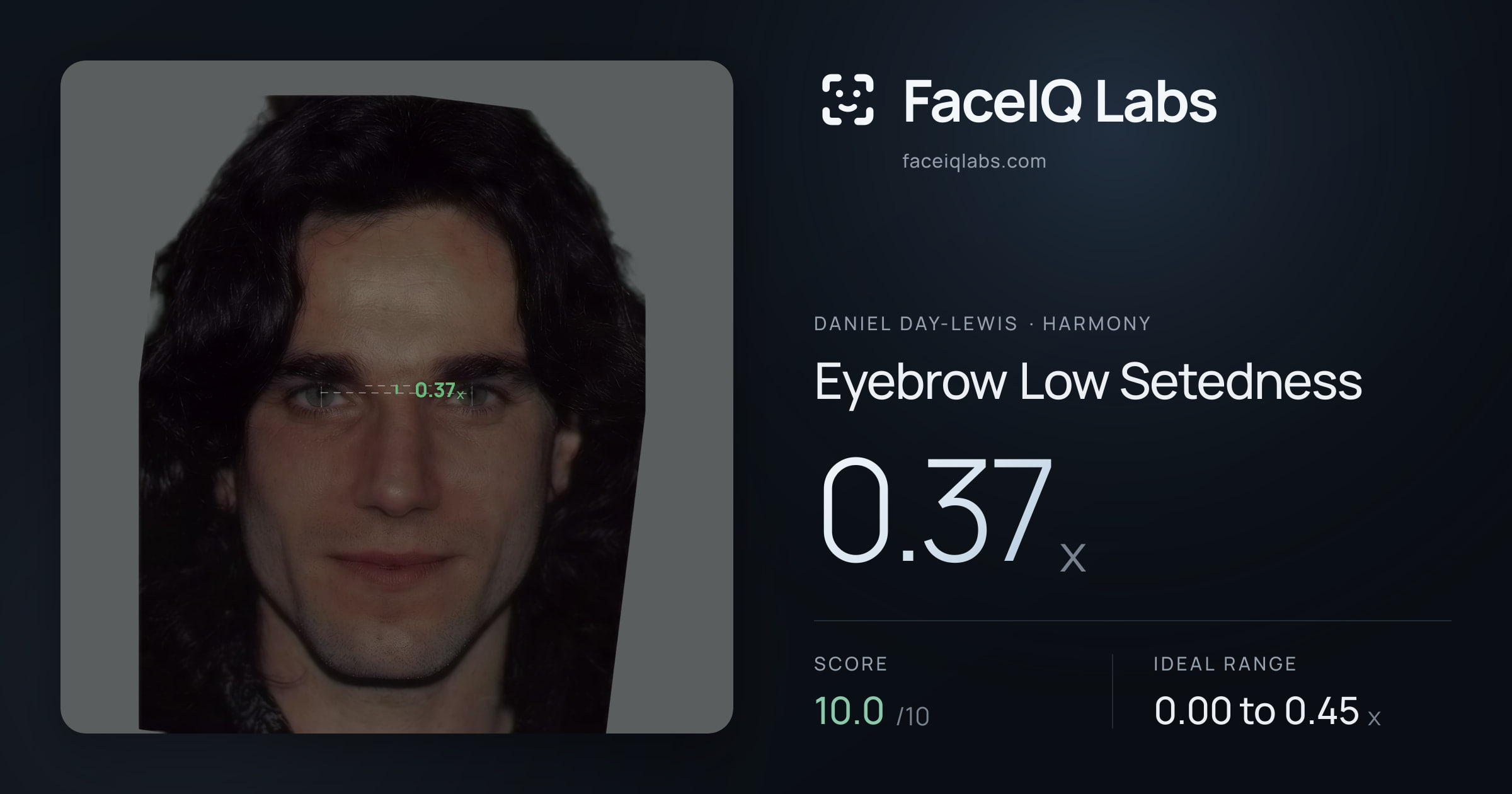 Daniel Day-Lewis Eyebrow Low Setedness: 0.37x, drawn on the photo