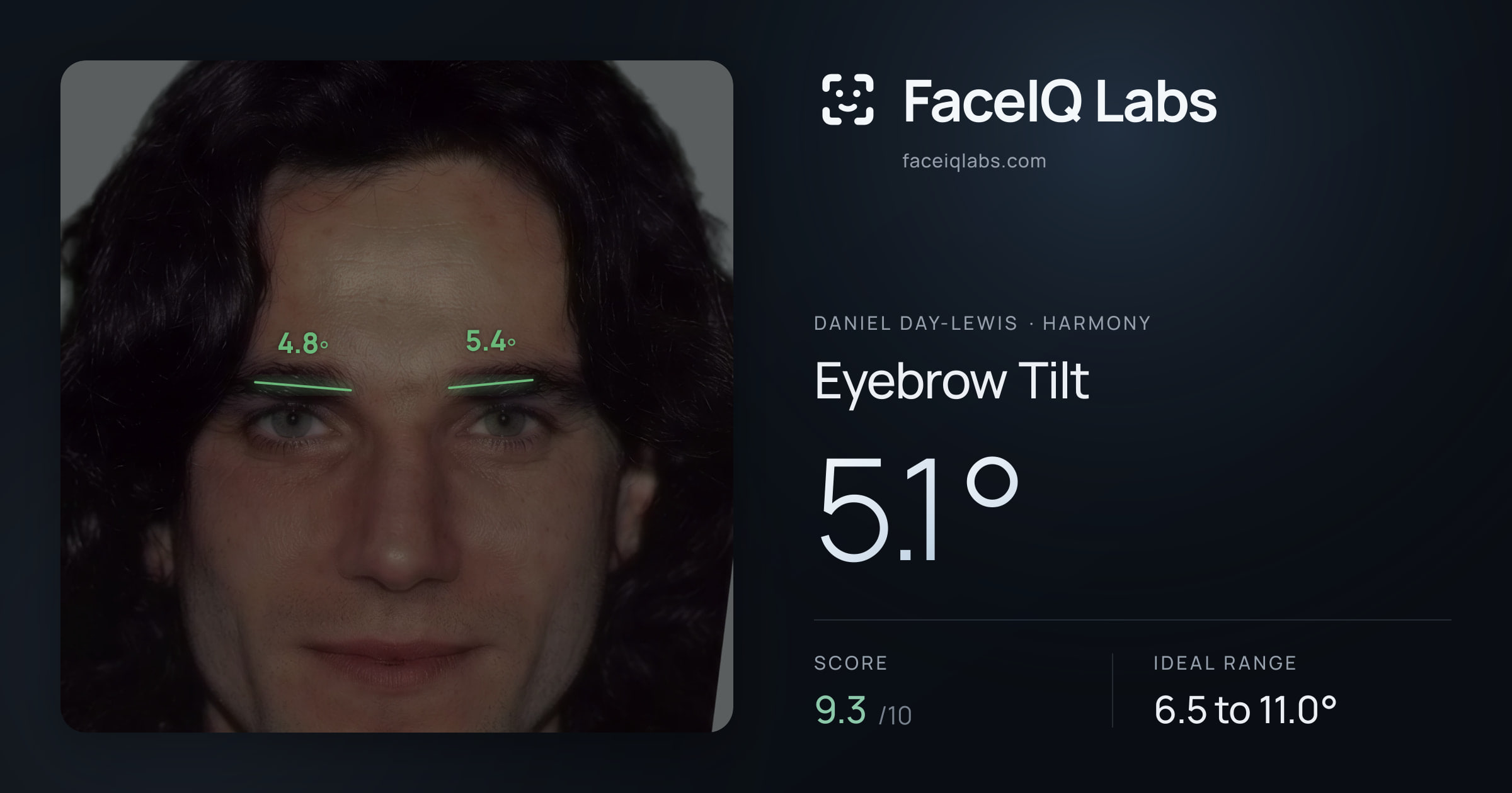 Daniel Day-Lewis Eyebrow Tilt: 5.1°, drawn on the photo