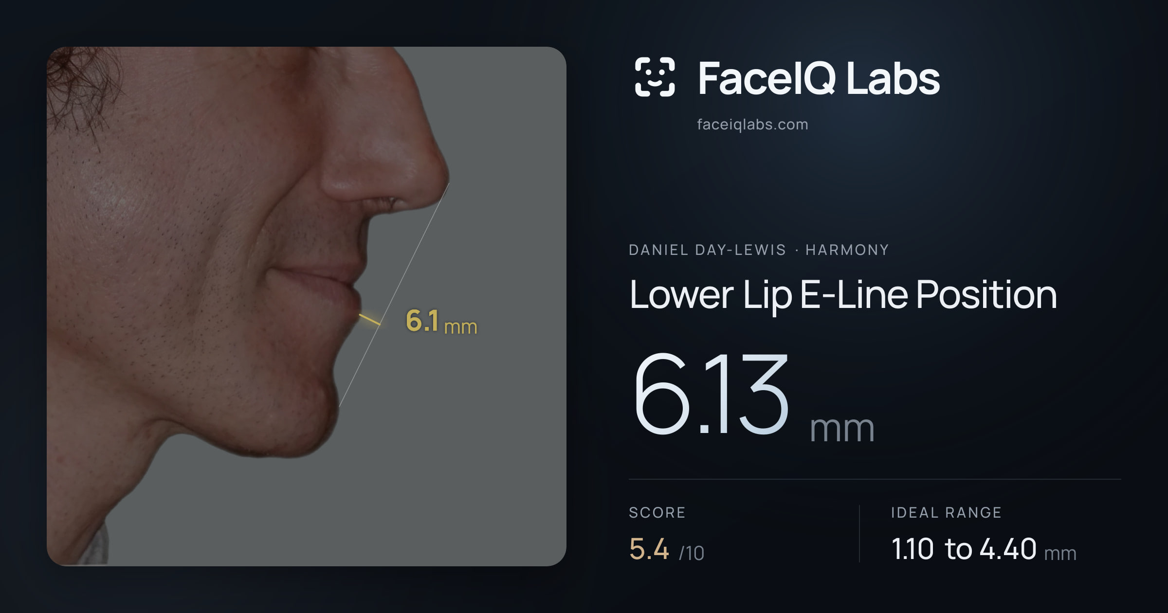 Daniel Day-Lewis Lower Lip E-Line Position: 6.13mm, drawn on the photo
