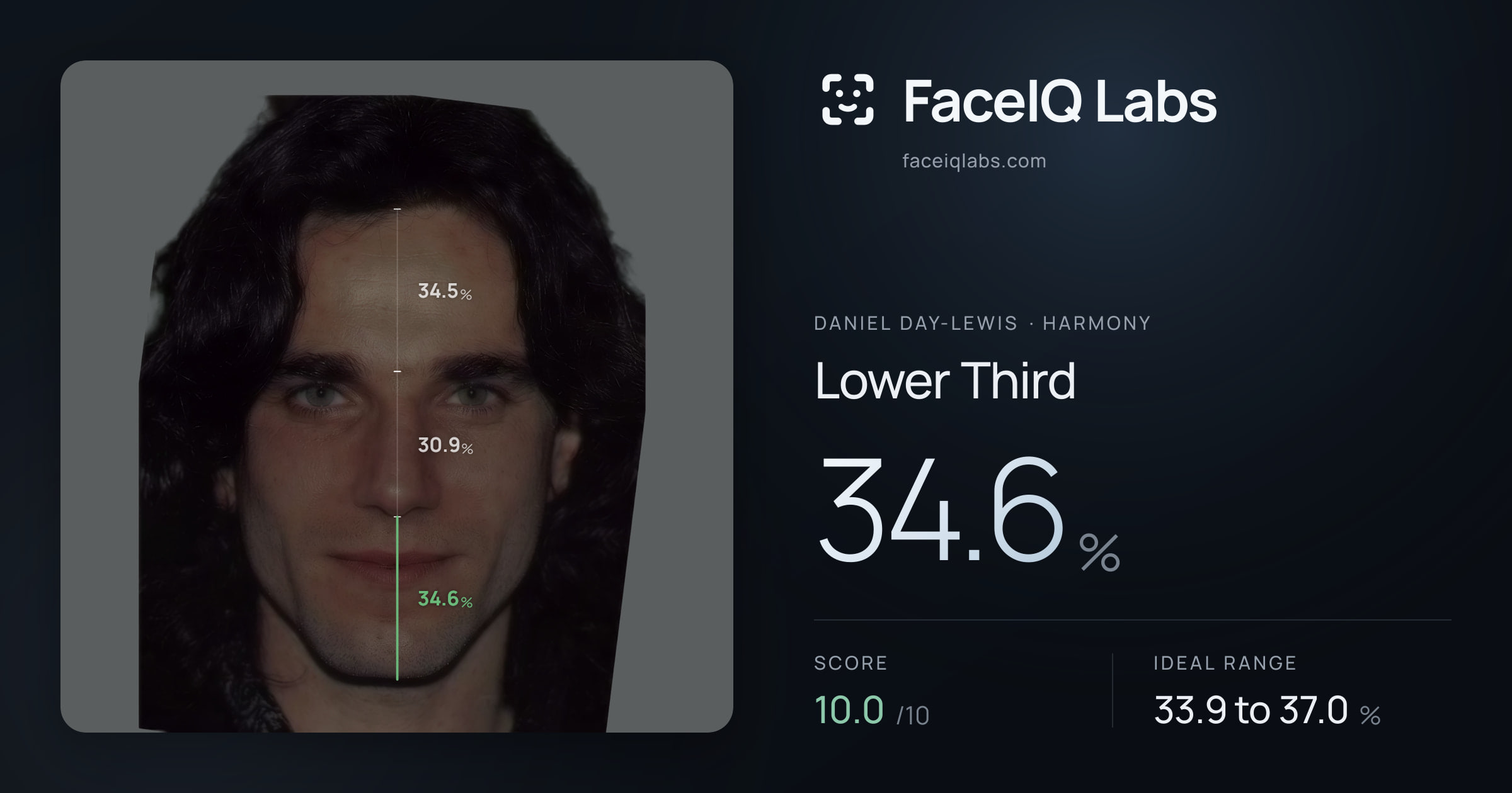 Daniel Day-Lewis Lower Third: 34.6%, drawn on the photo