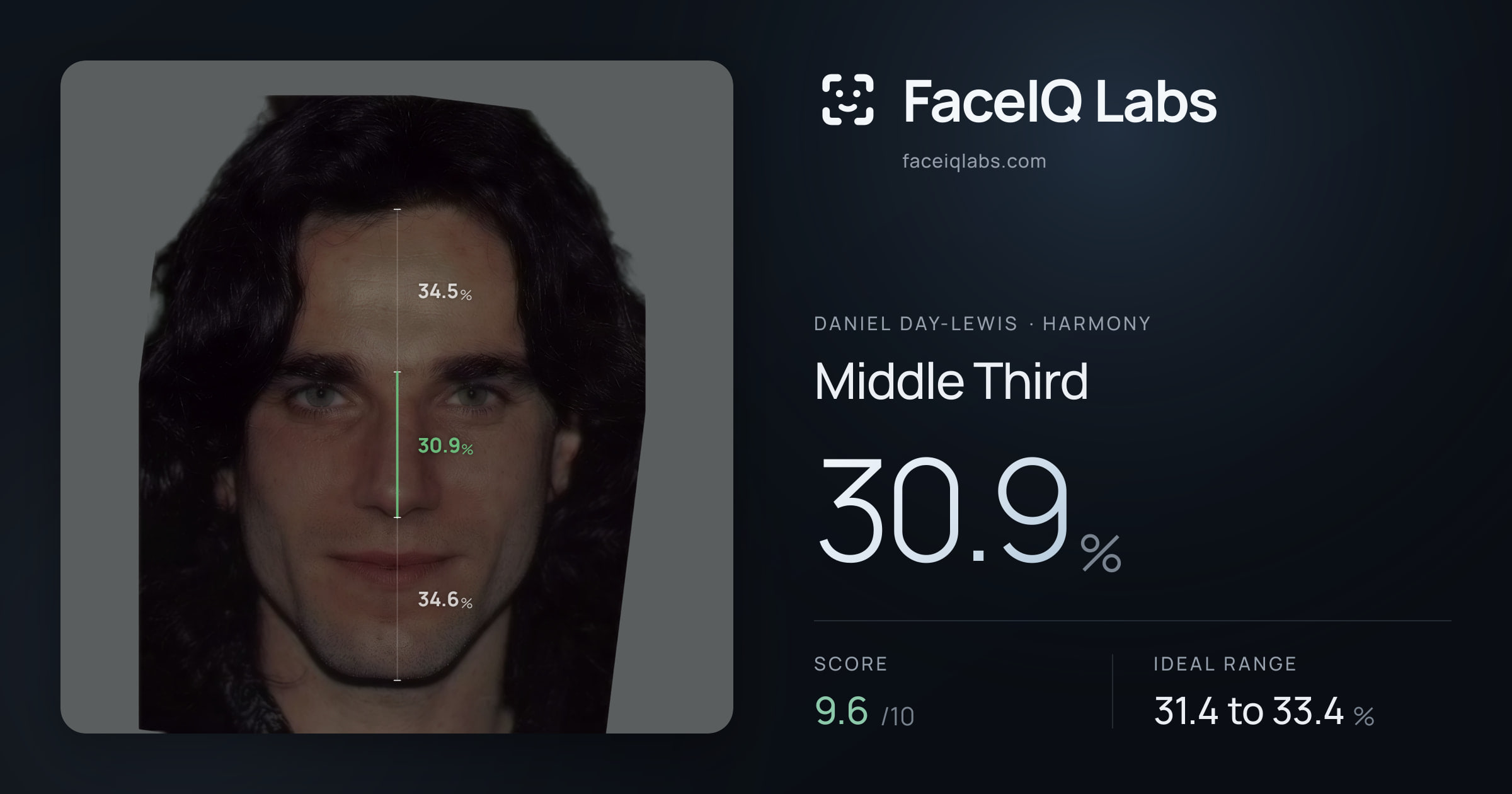 Daniel Day-Lewis Middle Third: 30.9%, drawn on the photo