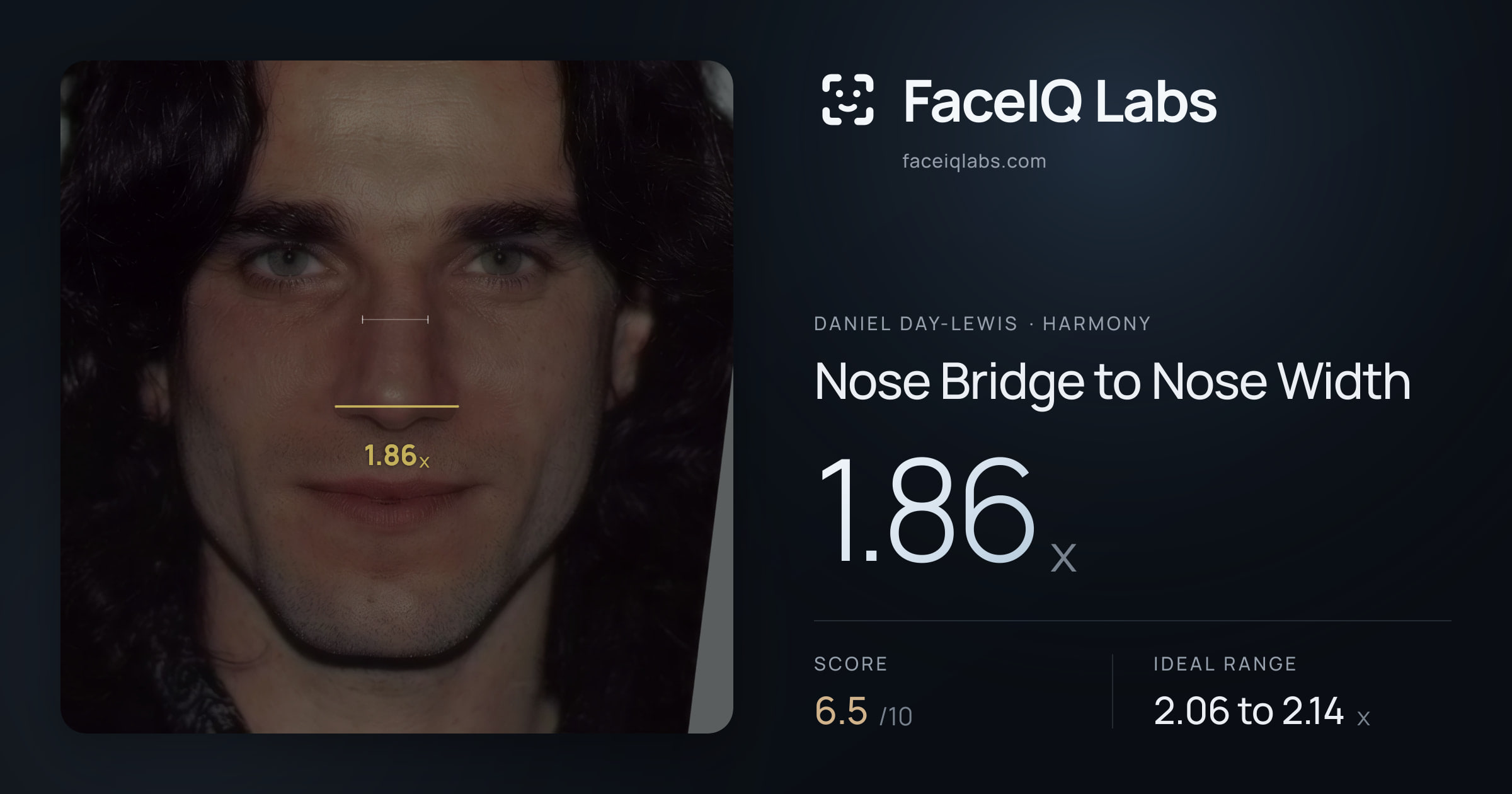 Daniel Day-Lewis Nose Bridge to Nose Width: 1.86x, drawn on the photo