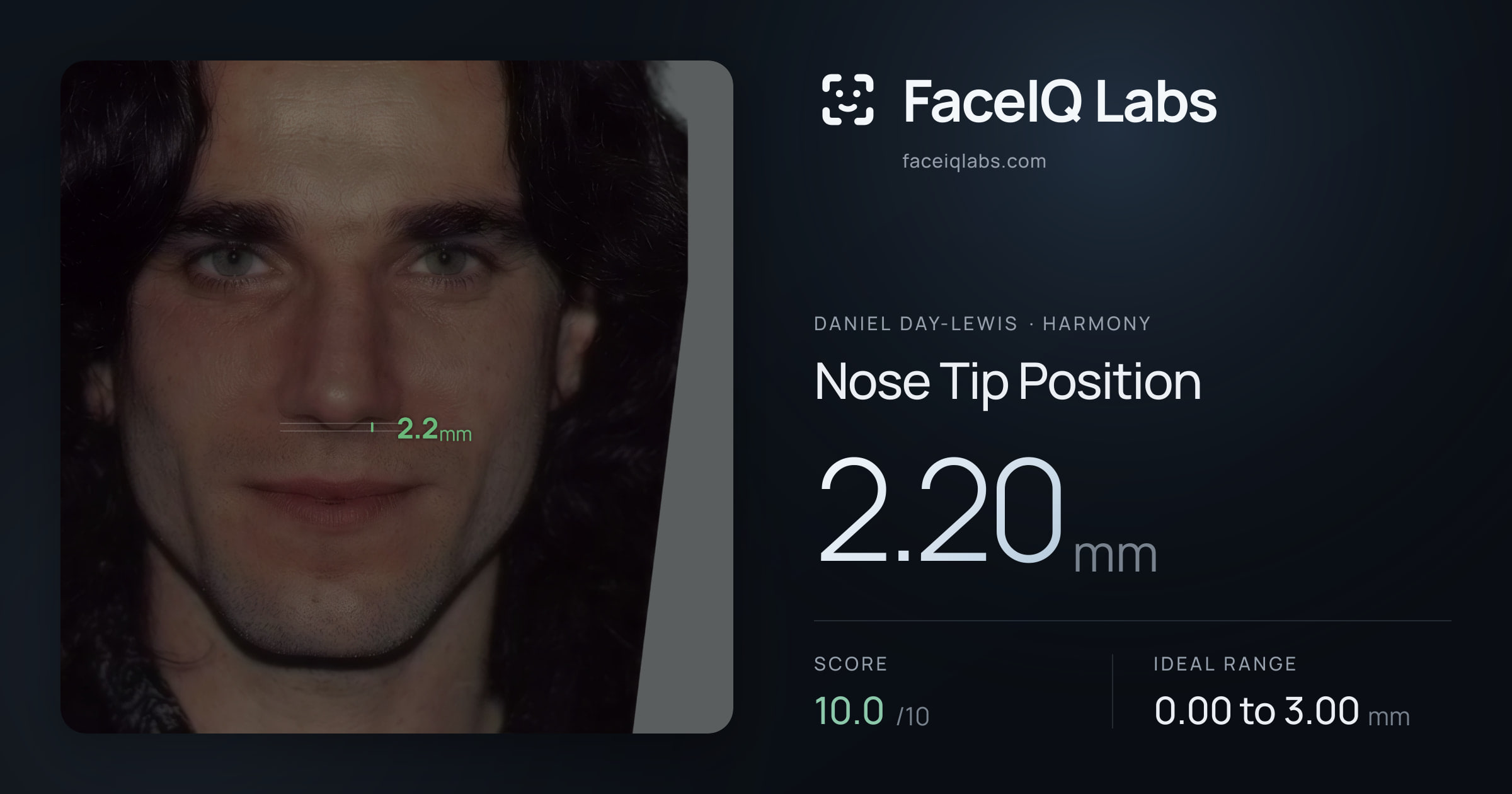 Daniel Day-Lewis Nose Tip Position: 2.20mm, drawn on the photo