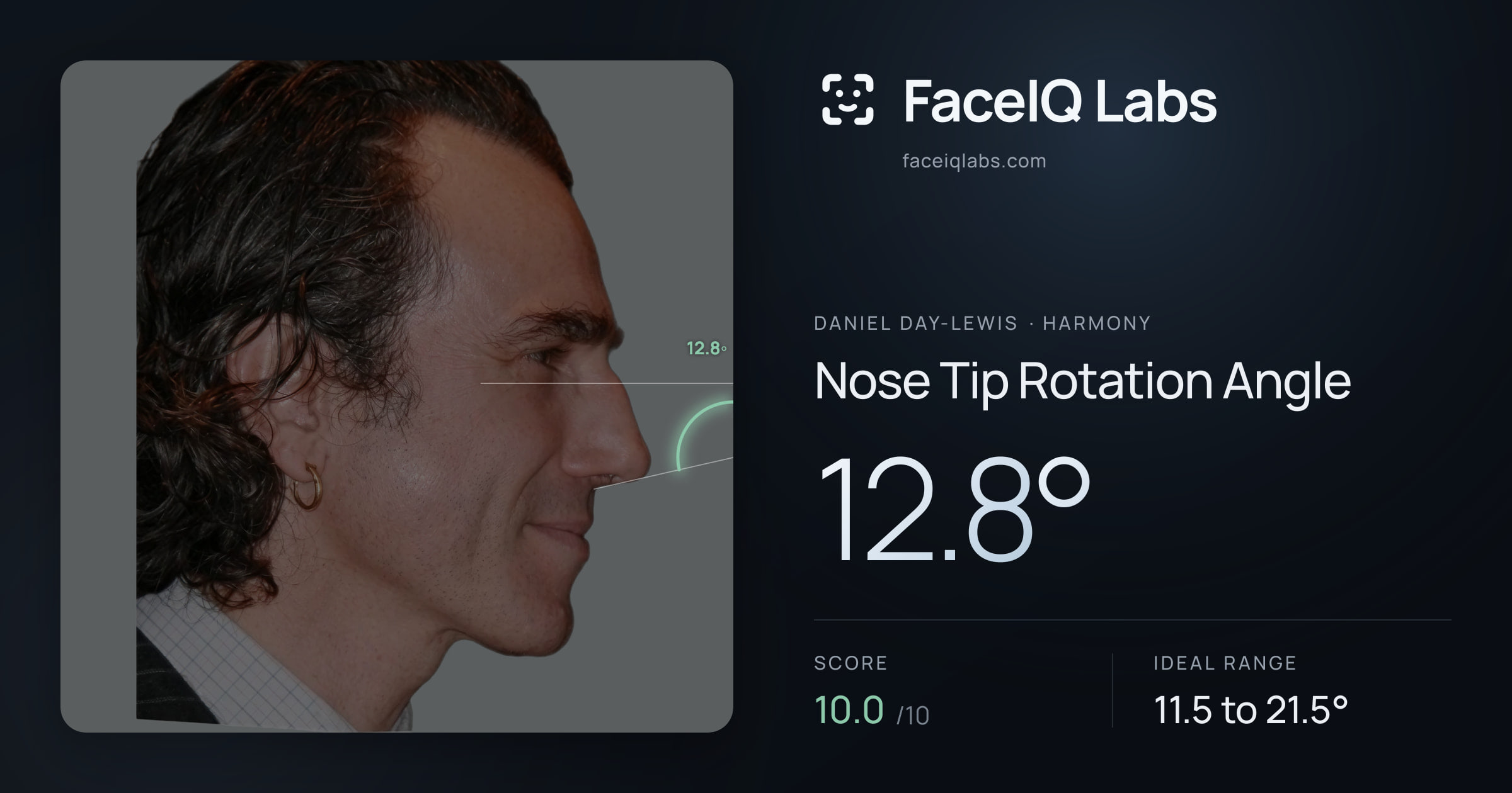 Daniel Day-Lewis Nose Tip Rotation Angle: 12.8°, drawn on the photo