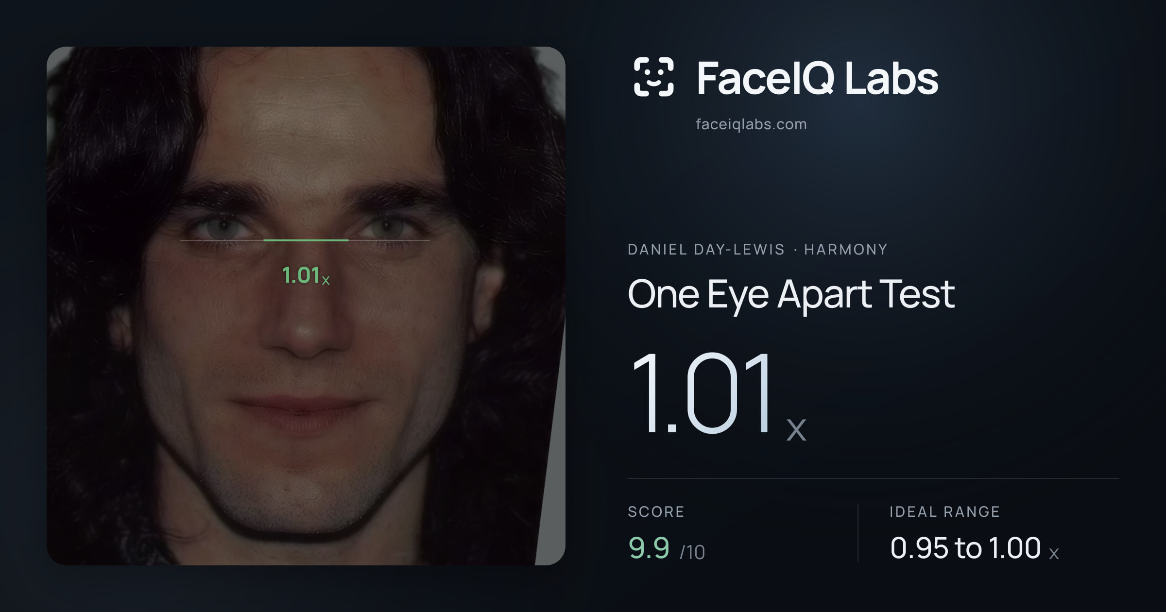 Daniel Day-Lewis One Eye Apart Test: 1.01x, drawn on the photo