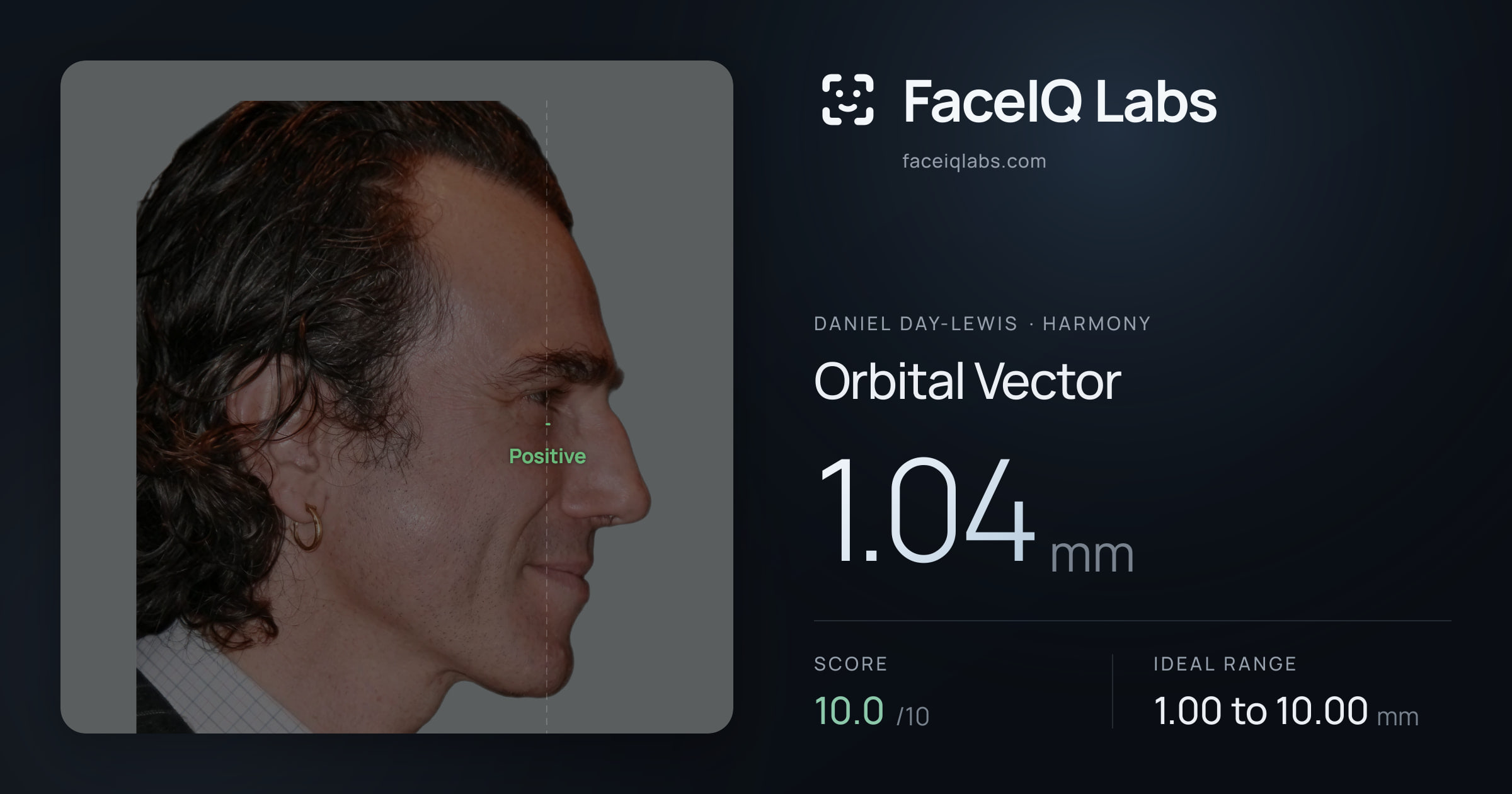 Daniel Day-Lewis Orbital Vector: 1.04mm, drawn on the photo