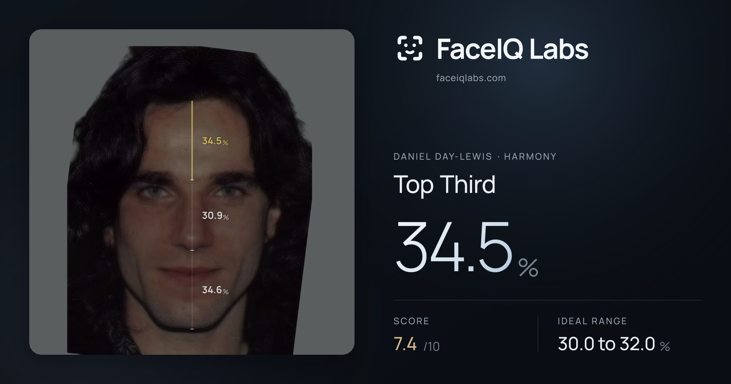 Daniel Day-Lewis Top Third: 34.5%, drawn on the photo