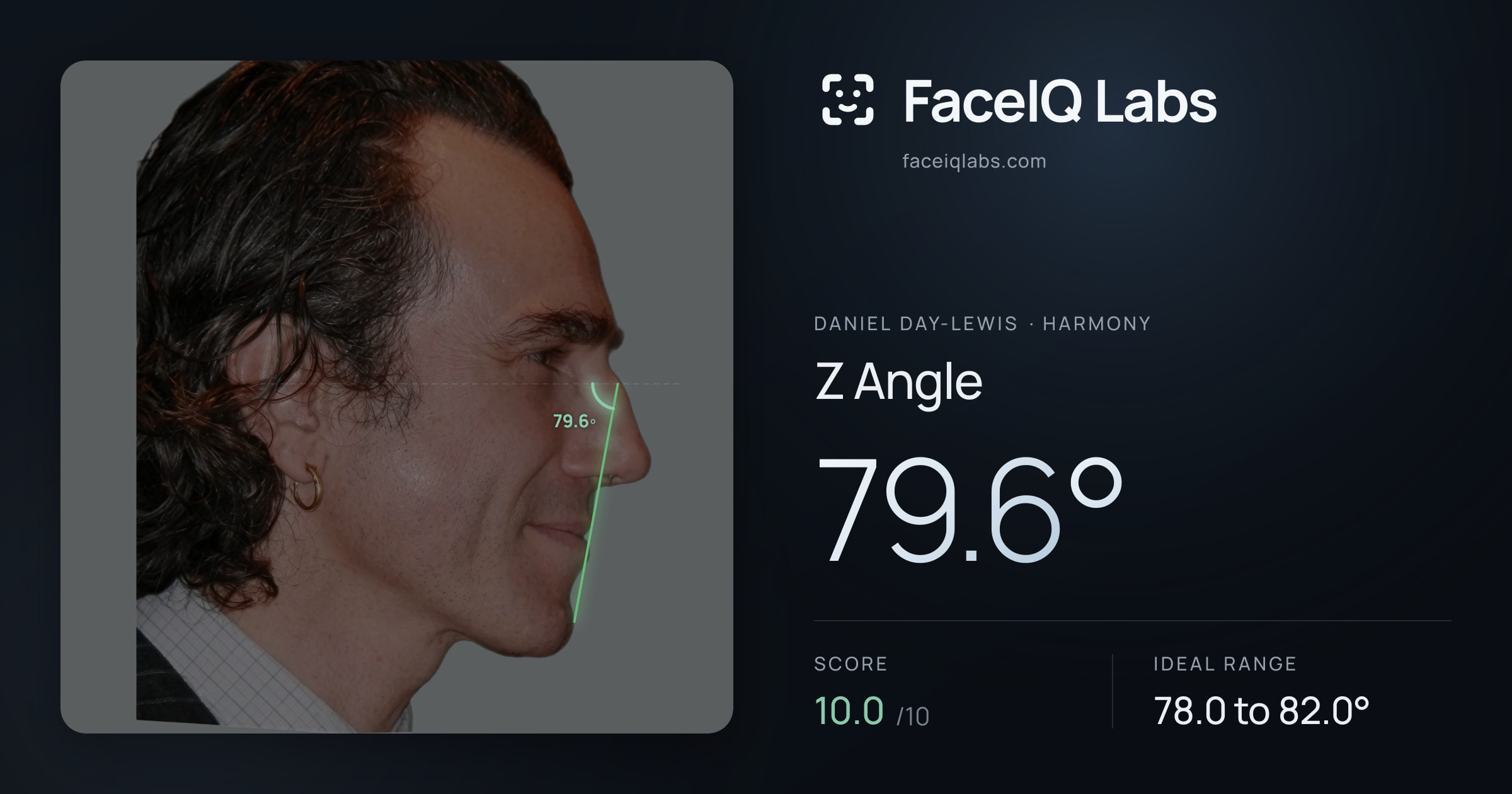 Daniel Day-Lewis Z Angle: 79.6°, drawn on the photo