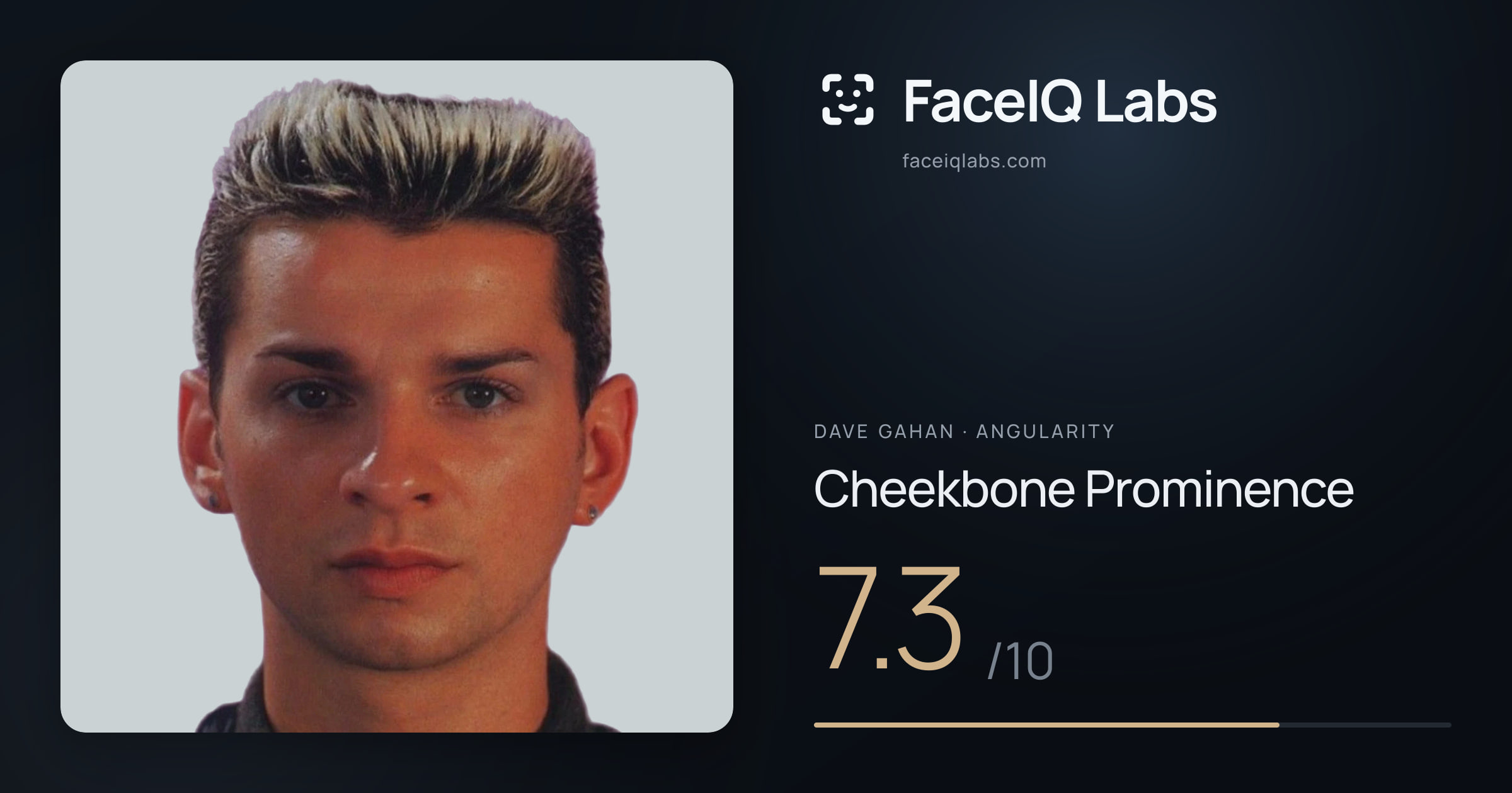 Dave Gahan Cheekbone Prominence: 7.3/10, drawn on the photo