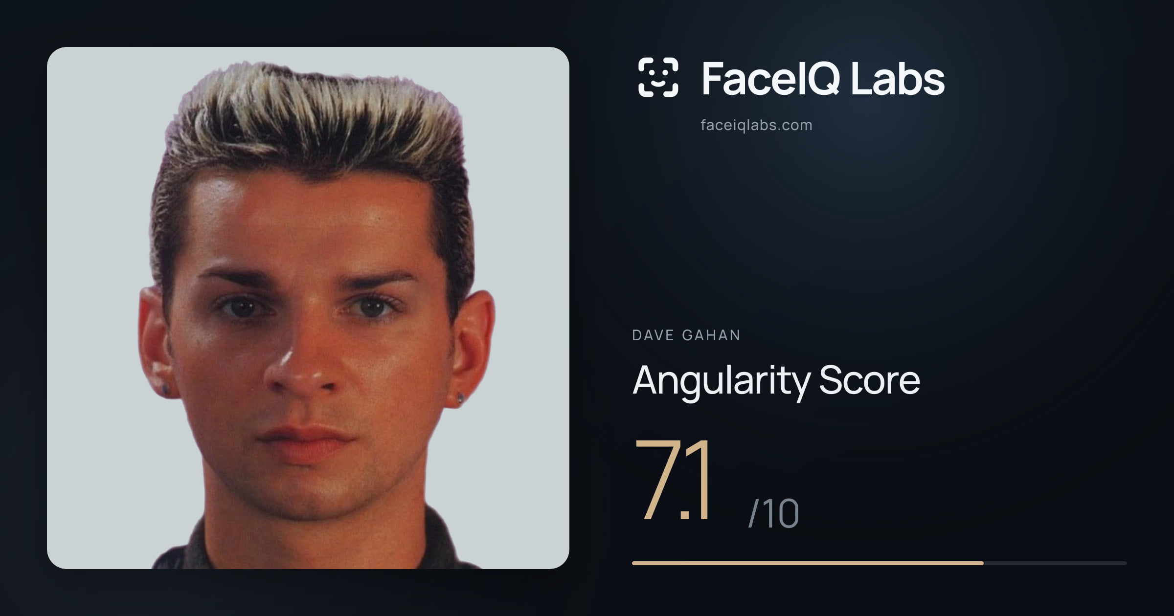 Dave Gahan Angularity: 7.1/10, with each assessment drawn on the photo