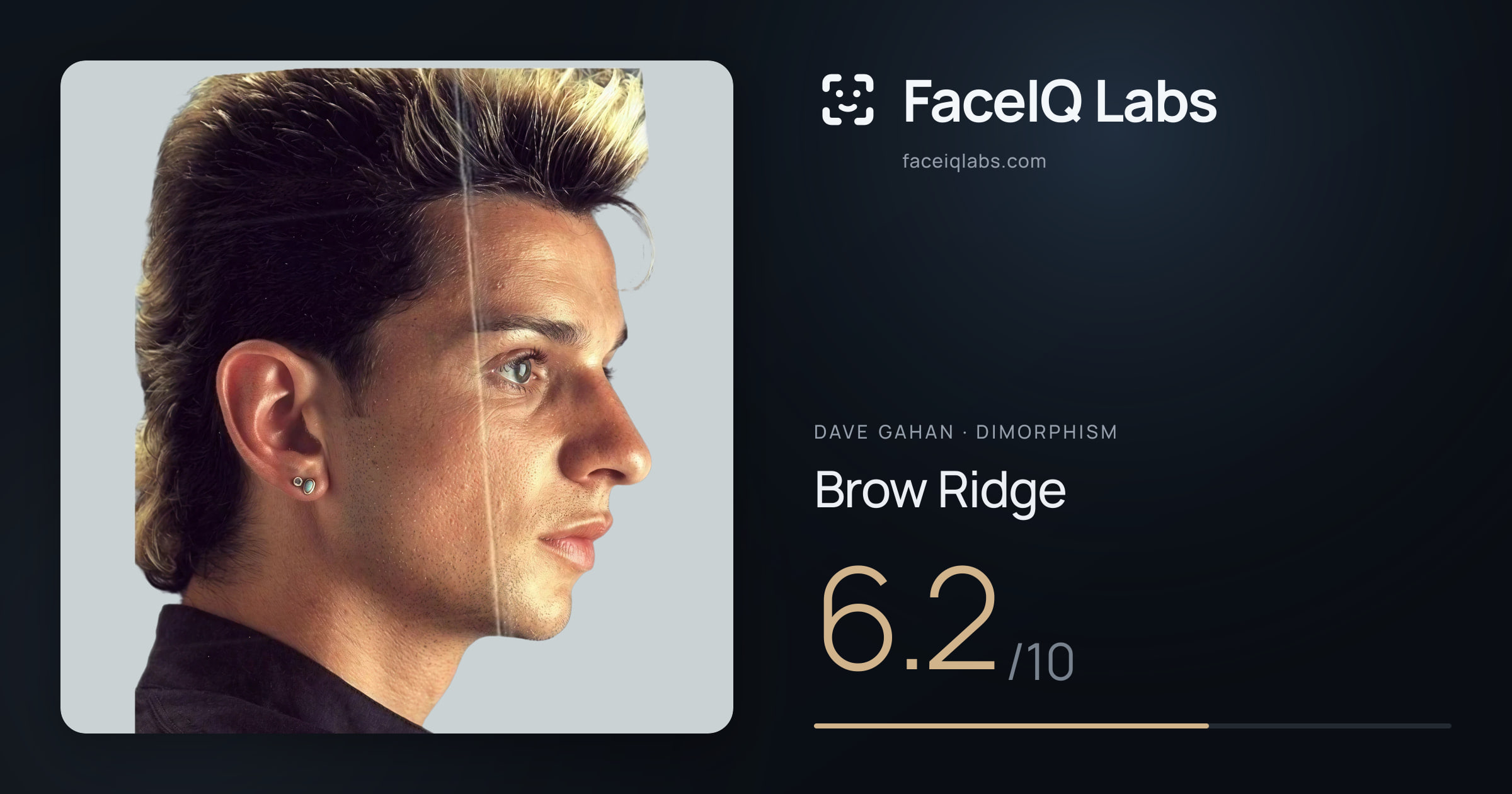 Dave Gahan Brow Ridge: 6.2/10, drawn on the photo