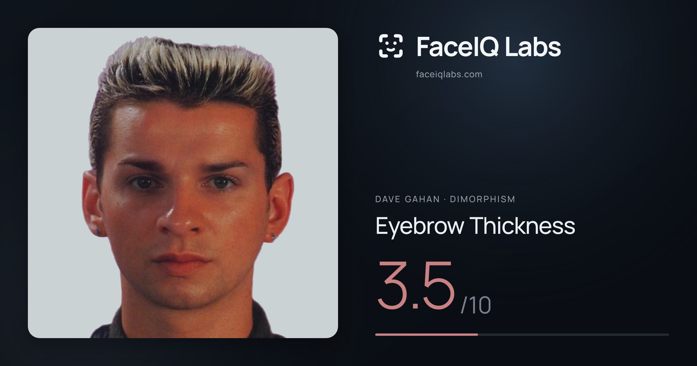 Dave Gahan Eyebrow Thickness: 3.5/10, drawn on the photo