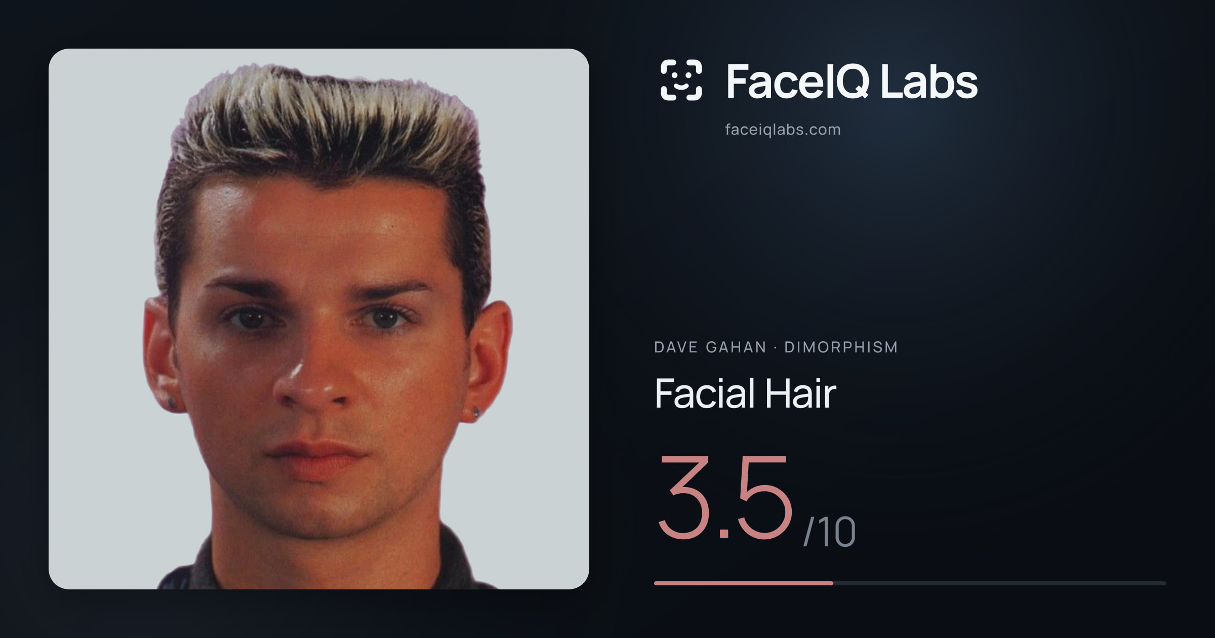 Dave Gahan Facial Hair: 3.5/10, drawn on the photo
