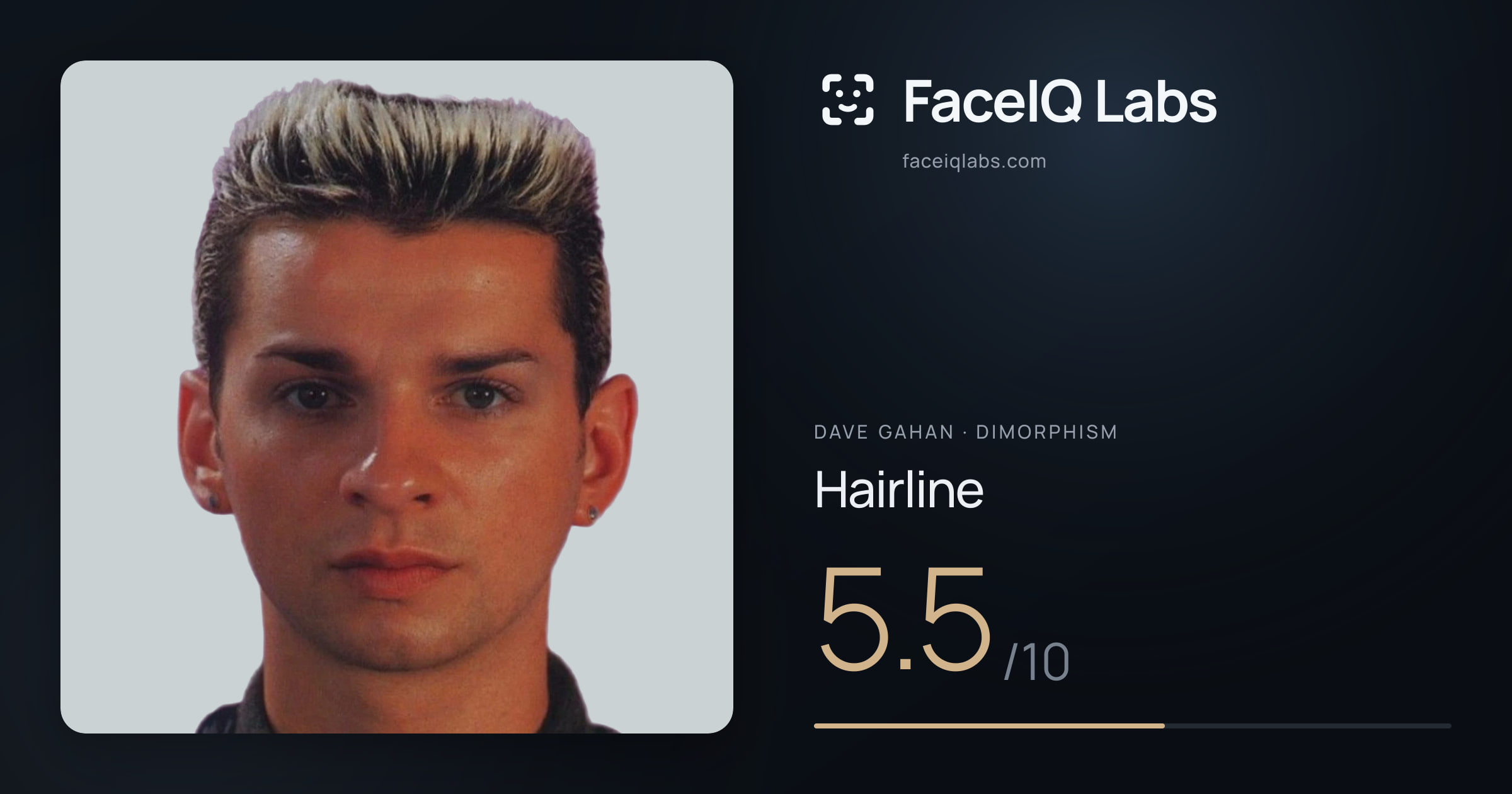 Dave Gahan Hairline: 5.5/10, drawn on the photo