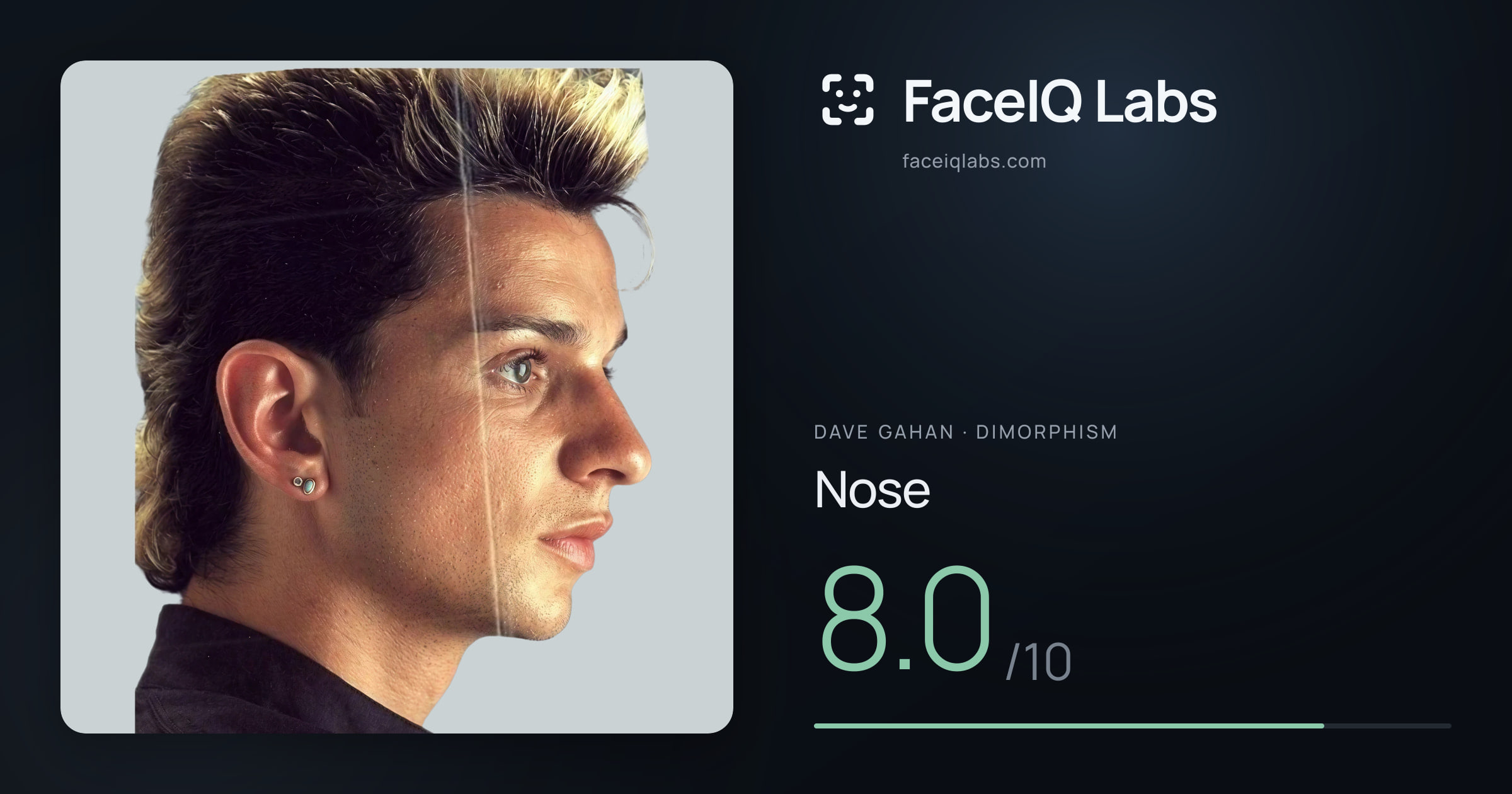 Dave Gahan Nose: 8.0/10, drawn on the photo