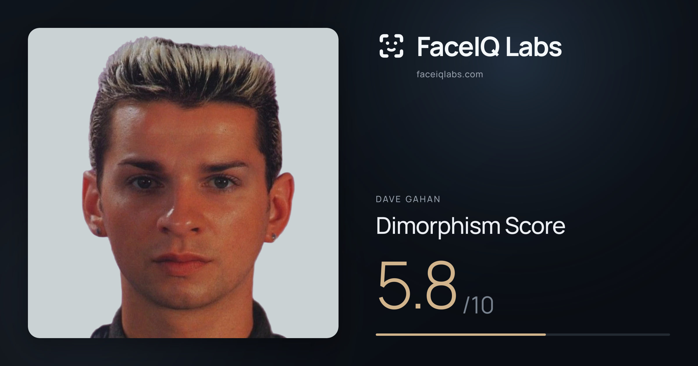 Dave Gahan Dimorphism: 5.8/10, with each assessment drawn on the photo