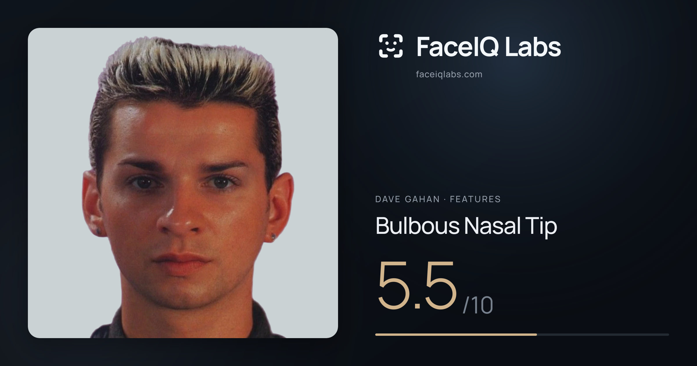 Dave Gahan Bulbous Nasal Tip: 5.5/10, drawn on the photo