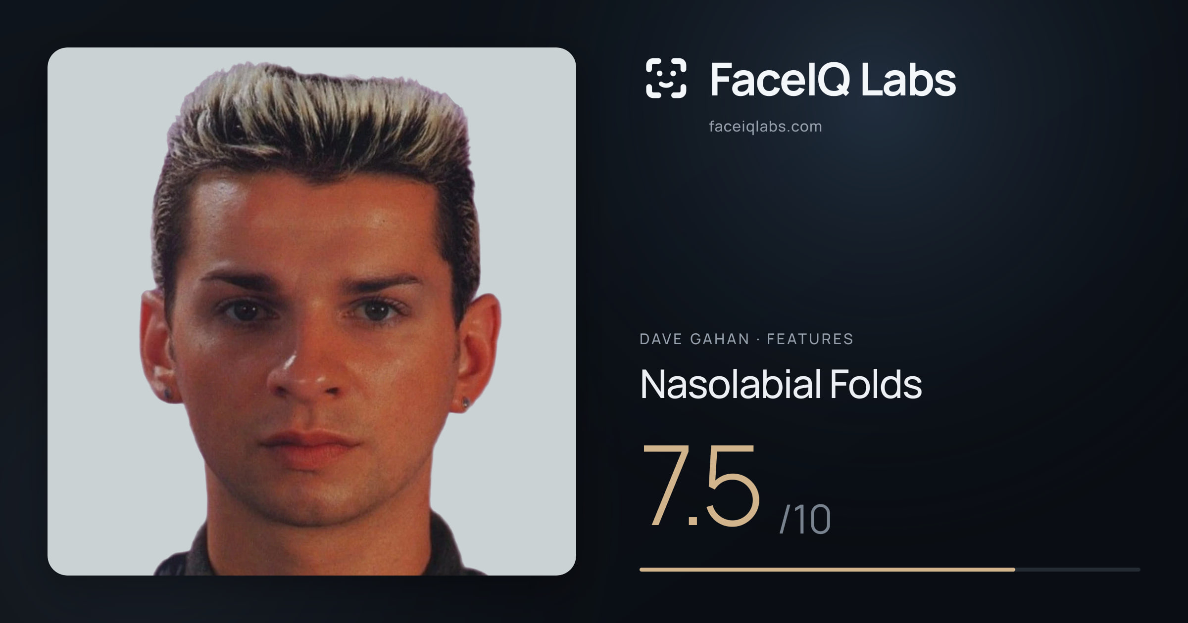 Dave Gahan Nasolabial Folds: 7.5/10, drawn on the photo