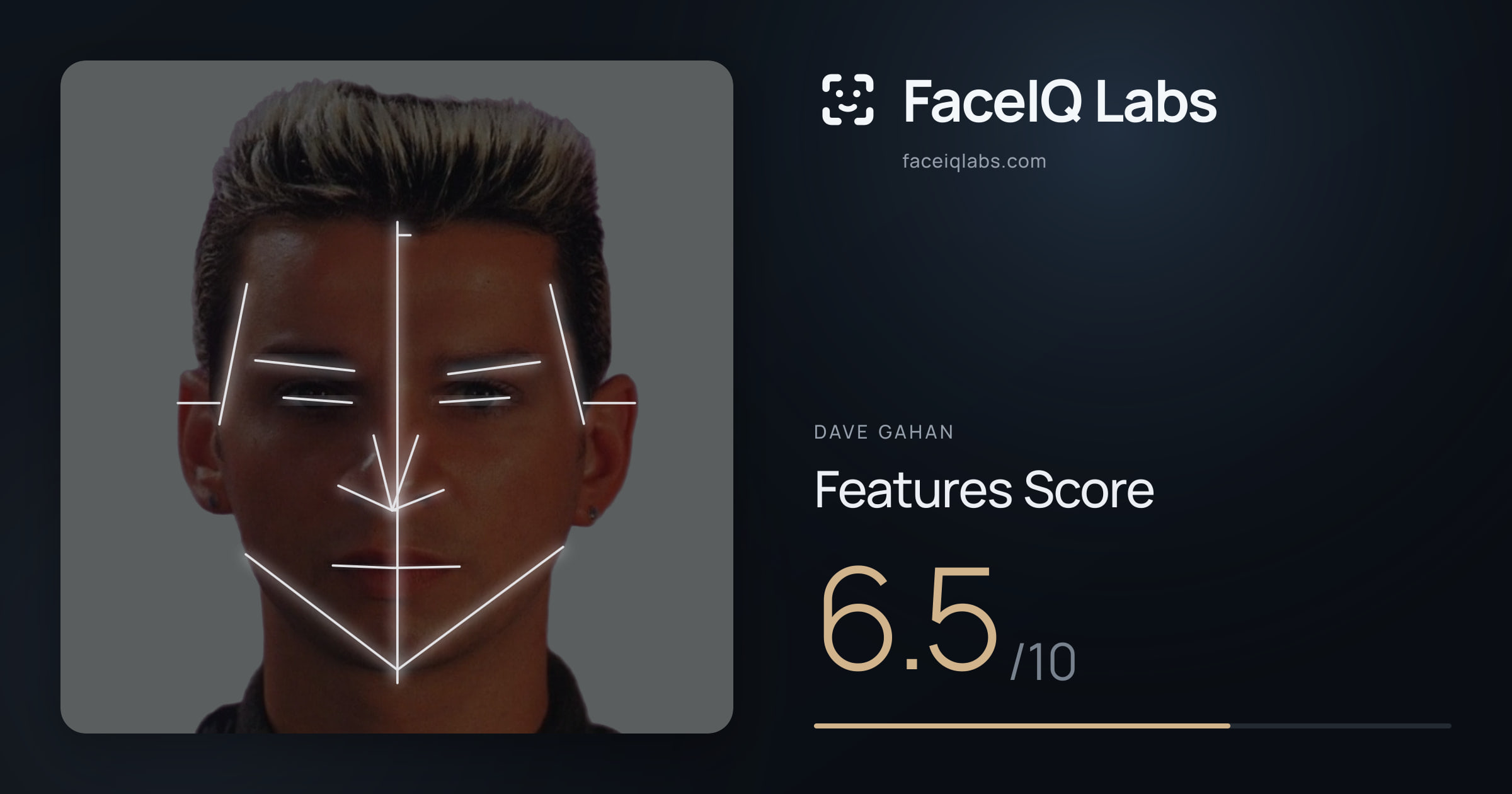 Dave Gahan Features: 6.5/10, with each assessment drawn on the photo