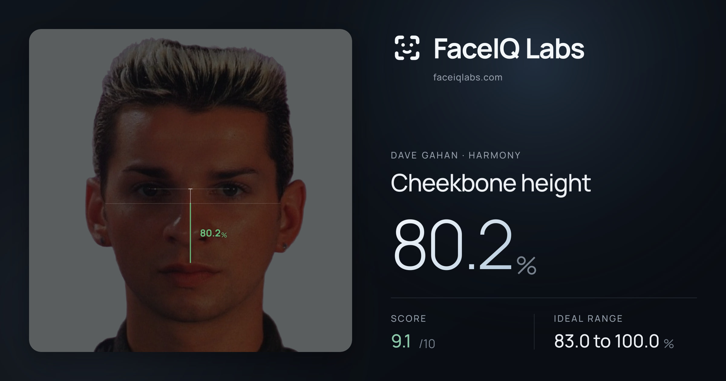 Dave Gahan Cheekbone height: 80.2%, drawn on the photo