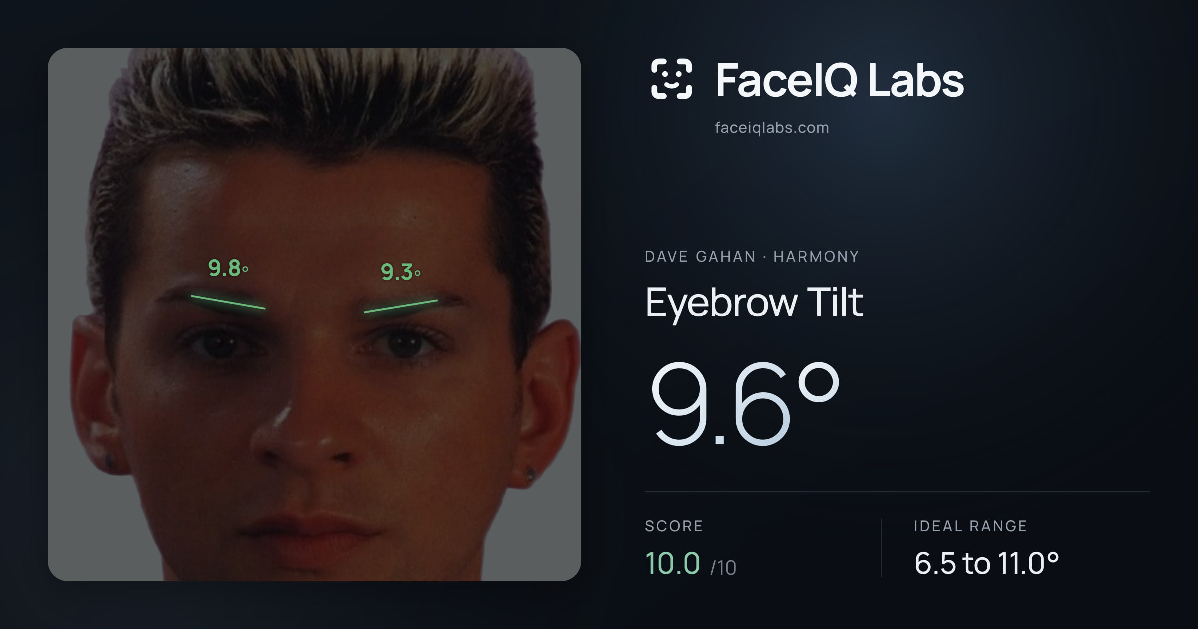 Dave Gahan Eyebrow Tilt: 9.6°, drawn on the photo