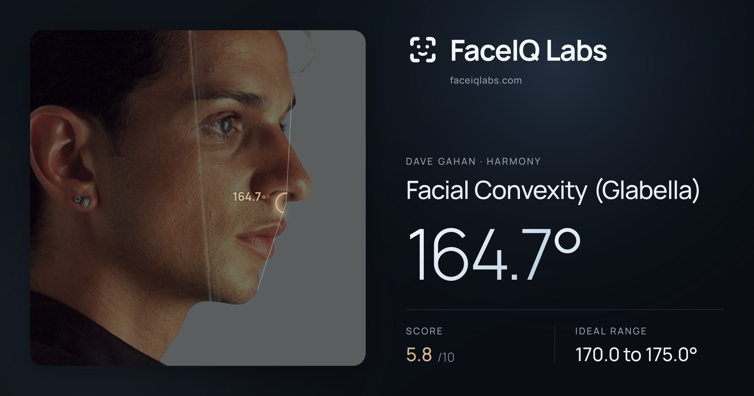 Dave Gahan Facial Convexity (Glabella): 164.7°, drawn on the photo