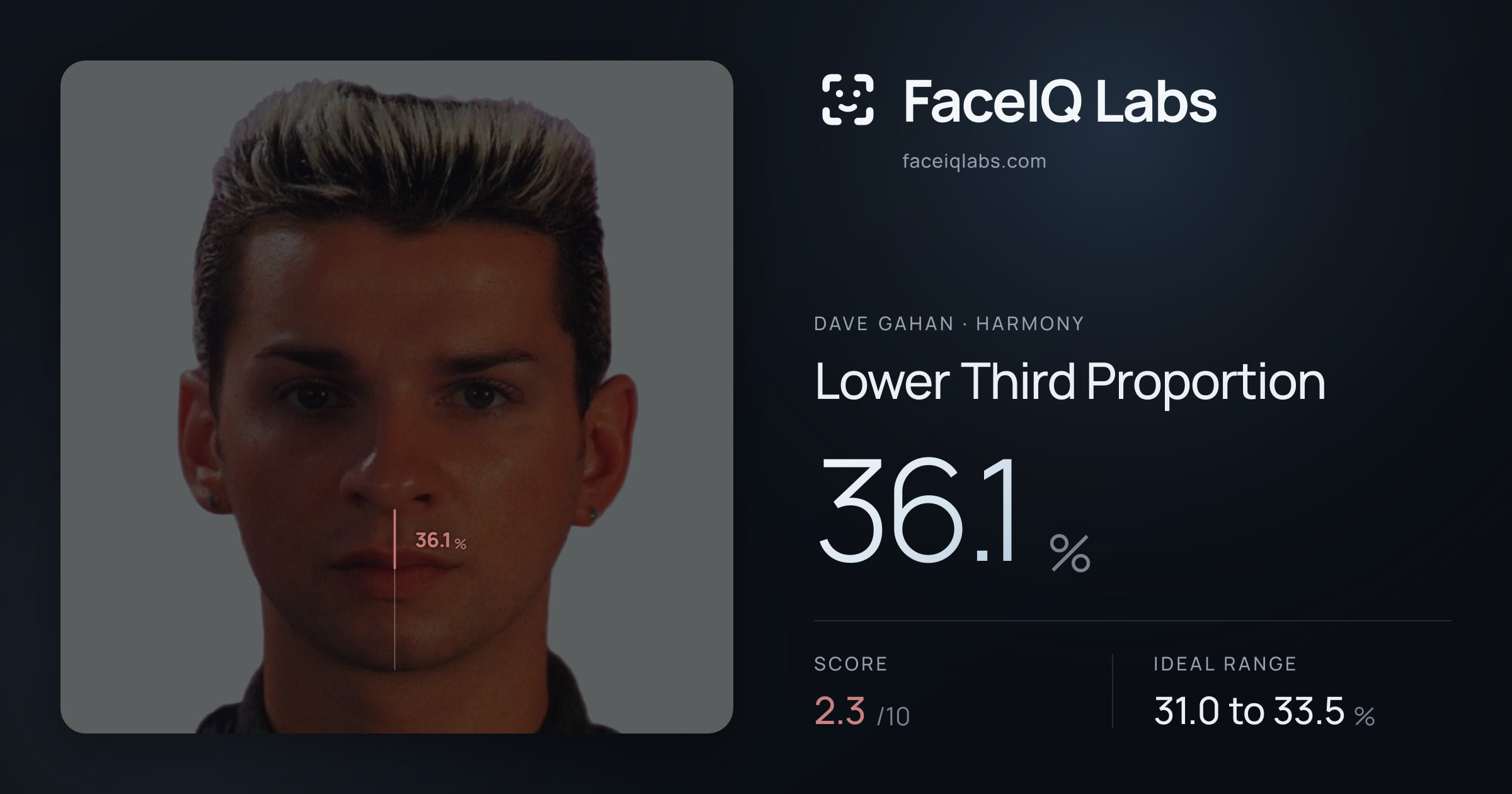 Dave Gahan Lower Third Proportion: 36.1%, drawn on the photo