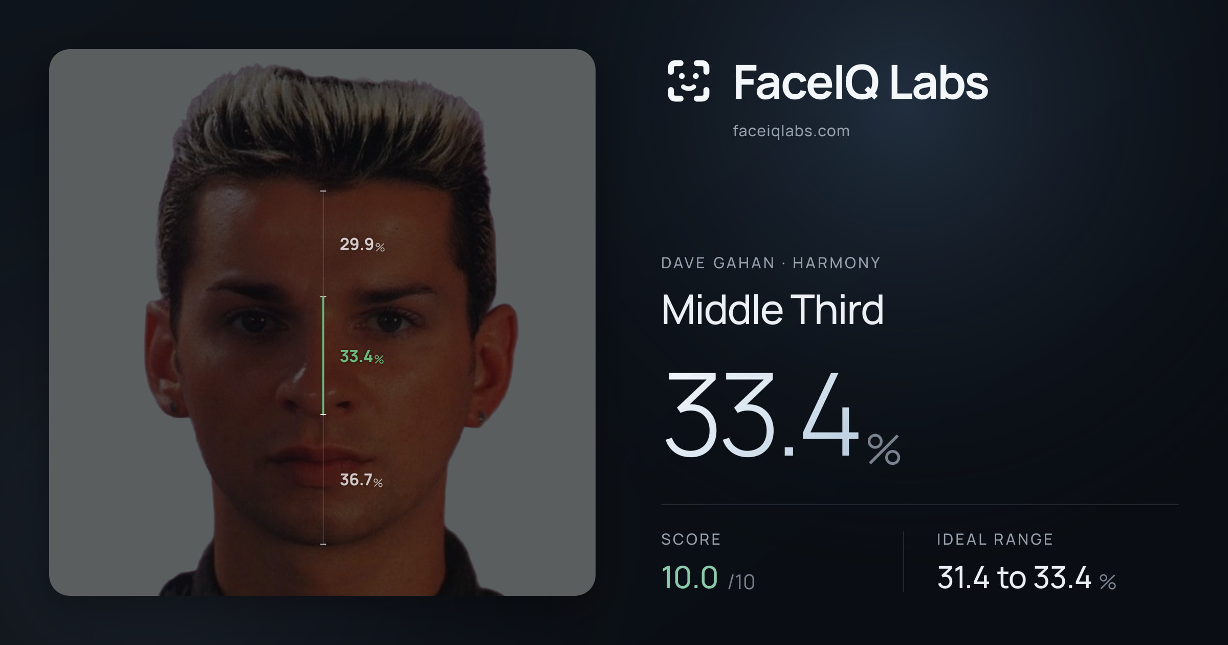 Dave Gahan Middle Third: 33.4%, drawn on the photo