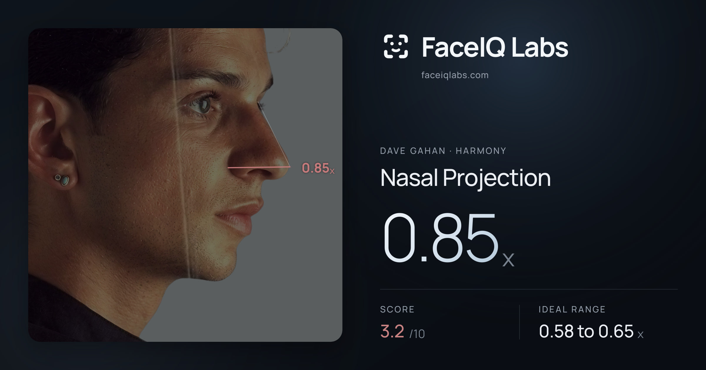 Dave Gahan Nasal Projection: 0.85x, drawn on the photo