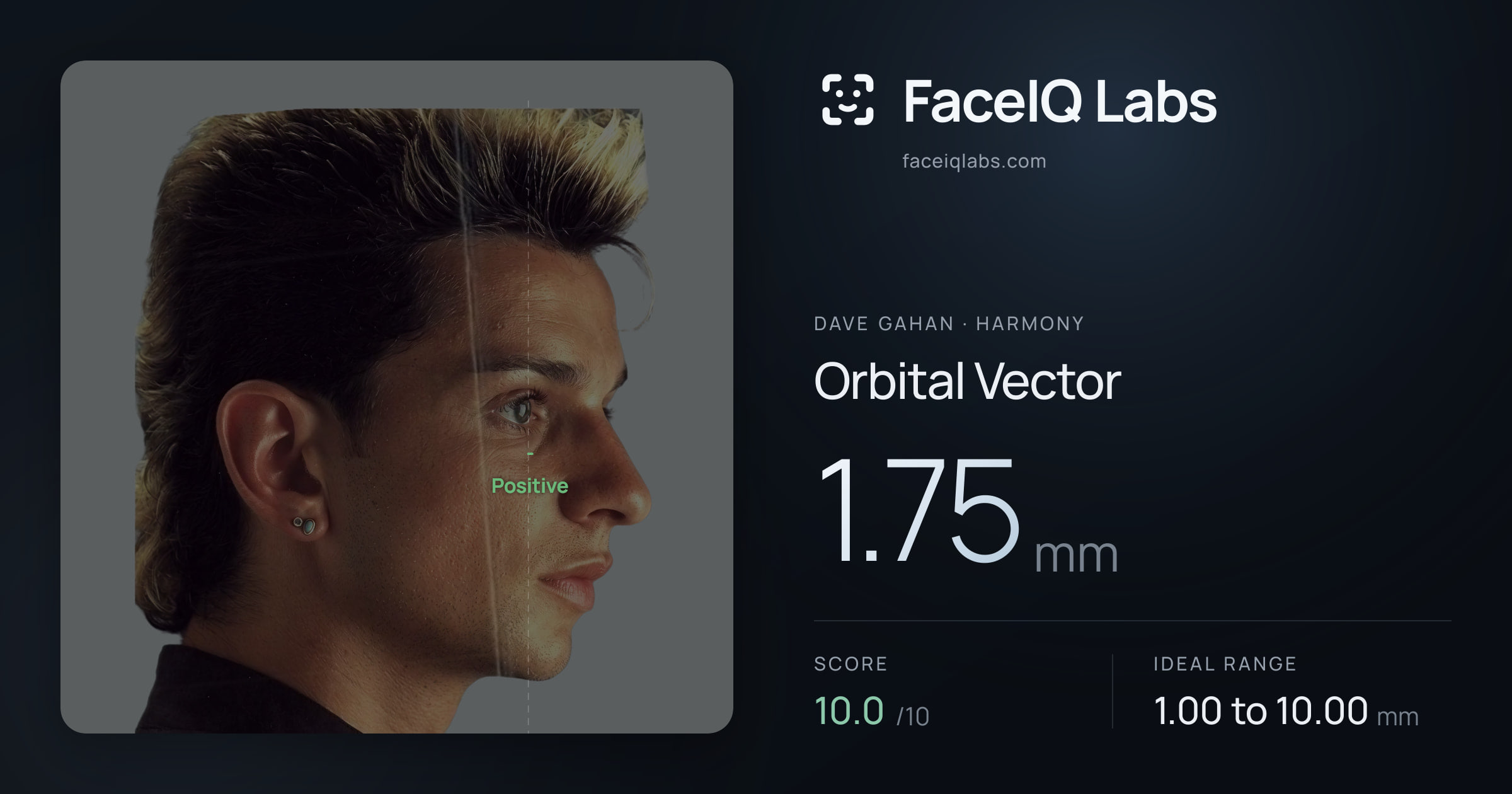 Dave Gahan Orbital Vector: 1.75mm, drawn on the photo