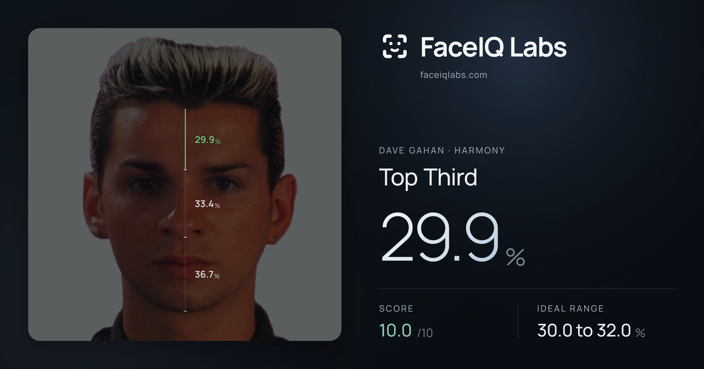 Dave Gahan Top Third: 29.9%, drawn on the photo